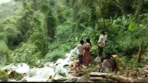 வெட்டிய வாழை