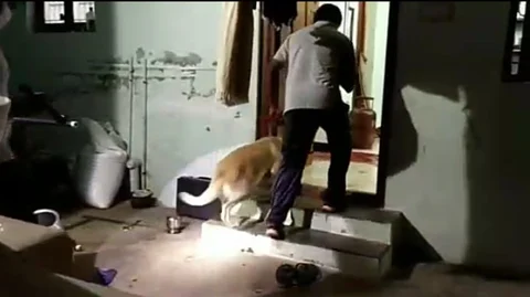 கொலை நடந்த வீட்டில் மோப்ப நாய்