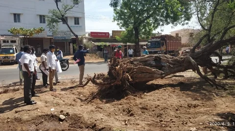 வெட்டப்பட்ட மரம் முன்பு சமூக ஆர்வலர்கள்