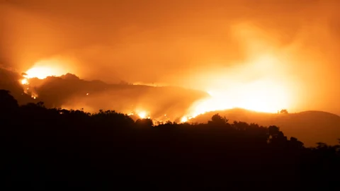 forest fire