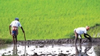 விவசாயிகள்