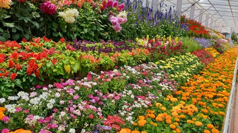 ooty botanical garden