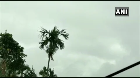 ஆம்பன்