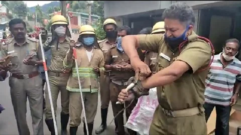 snake rescue