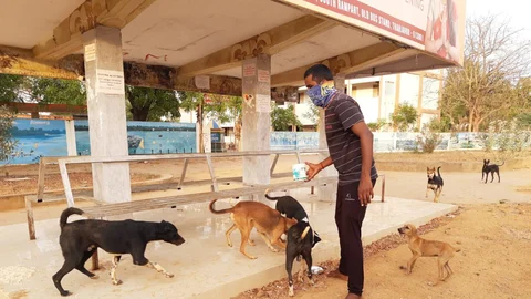 உணவளிக்கும் தன்னார்வலர்