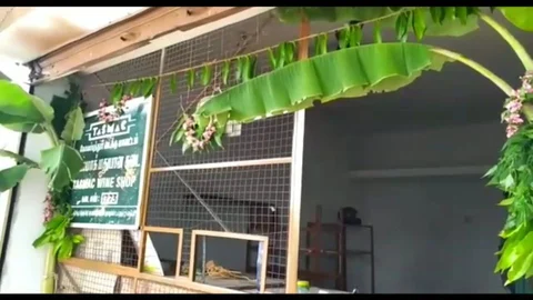 வைரல் டாஸ்மாக் கடை
