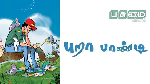 புறா பாண்டி