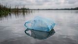 The 'plastic bag' effect: Why laid-back men can be the hardest to date