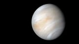 Venus likely consumed any moon it ever had, new study suggests