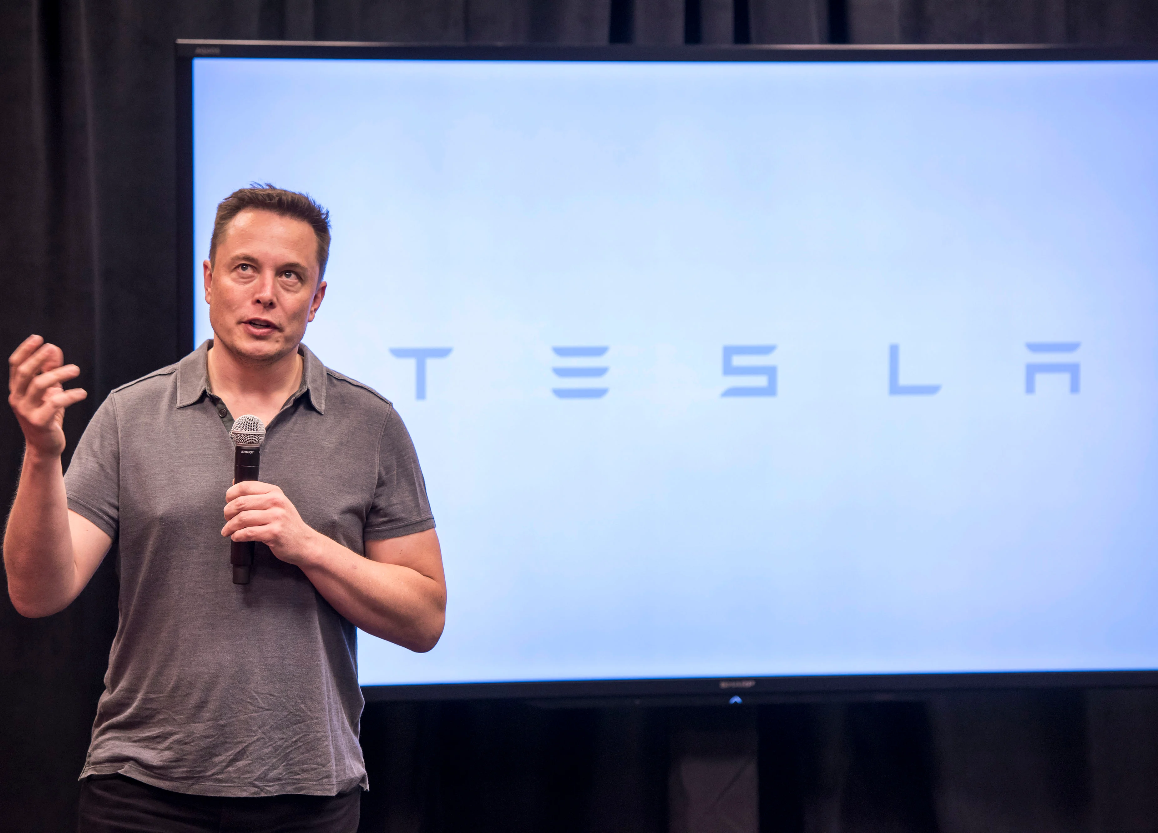 Musk Donates 1 Million Trees to Global Reforestation Campaign