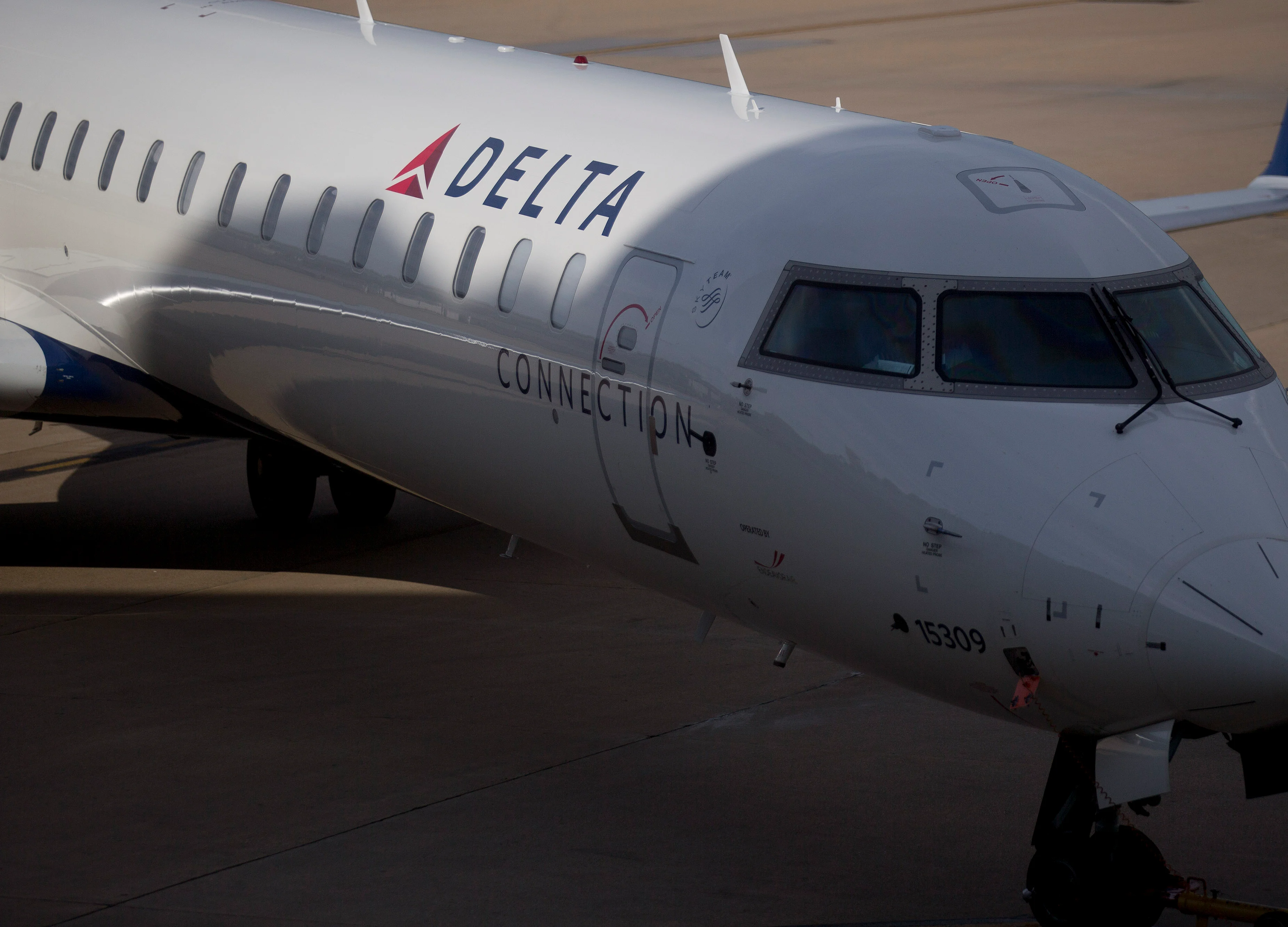 Delta Air Says No More Support Kittens, Puppies on Flights