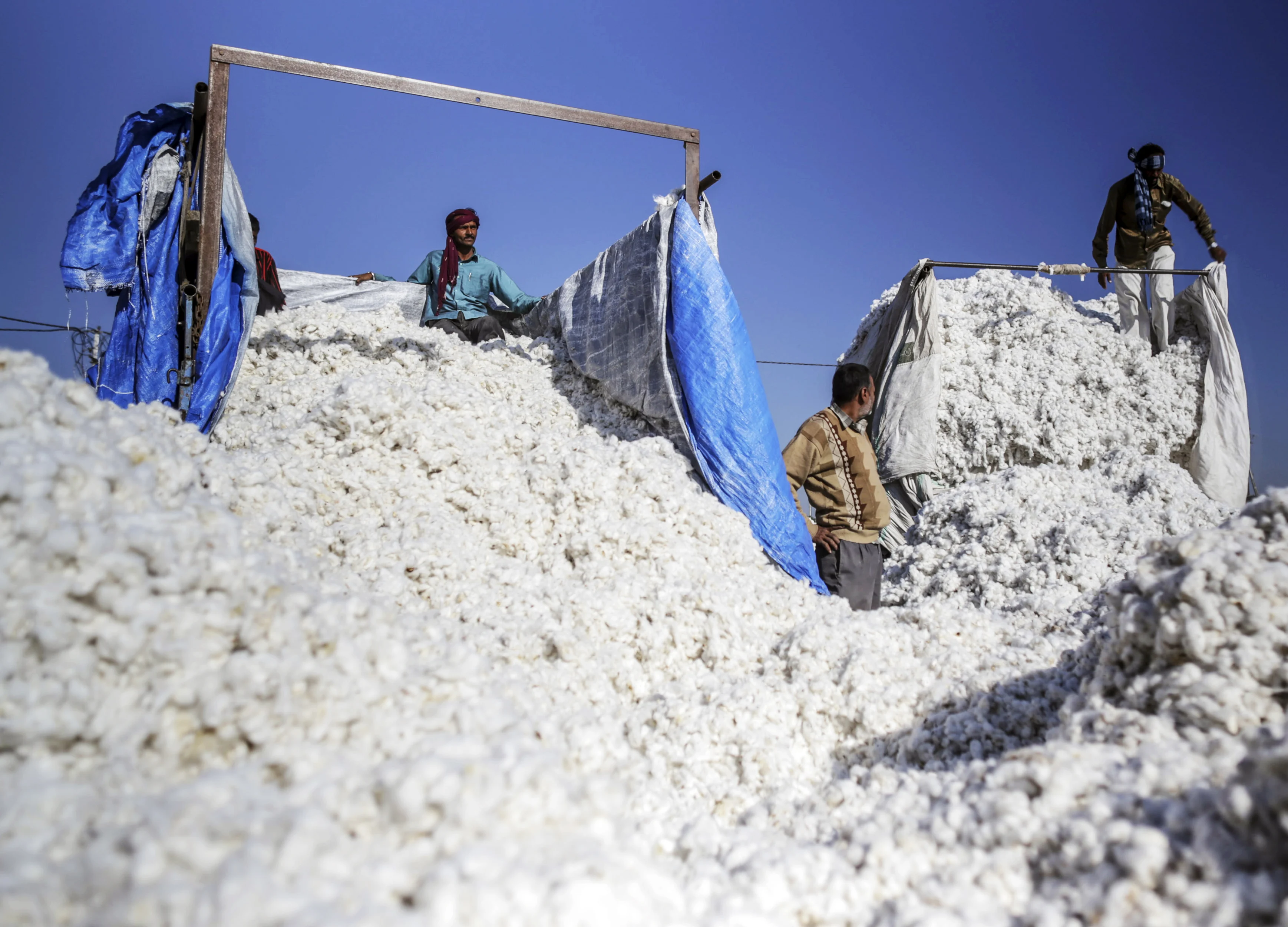 China Demand for Bananas to Cotton Drives Asia Export Rebound