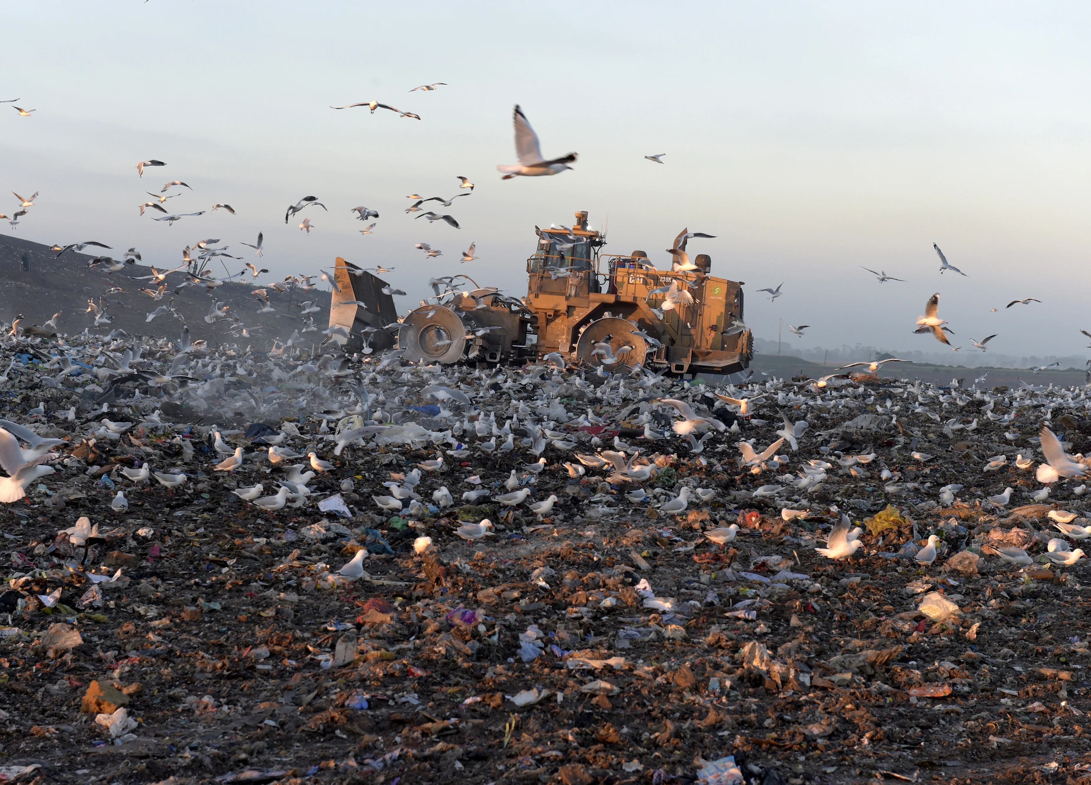 Antony Waste Handling Cell Raises Rs 60.94 Crore From Anchor Investors