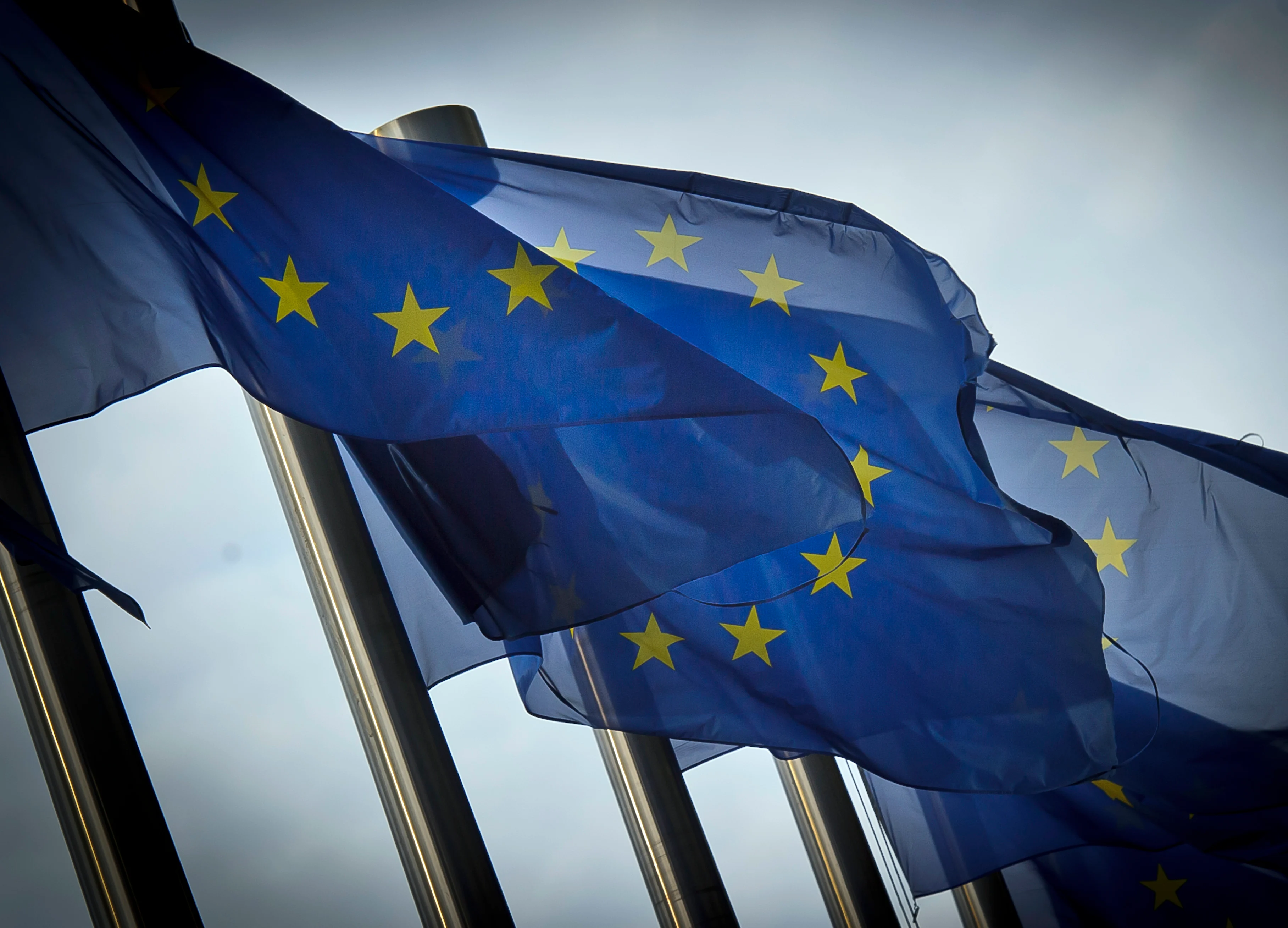 EU Leaders Reject Using Booming Carbon Market to Finance Budget