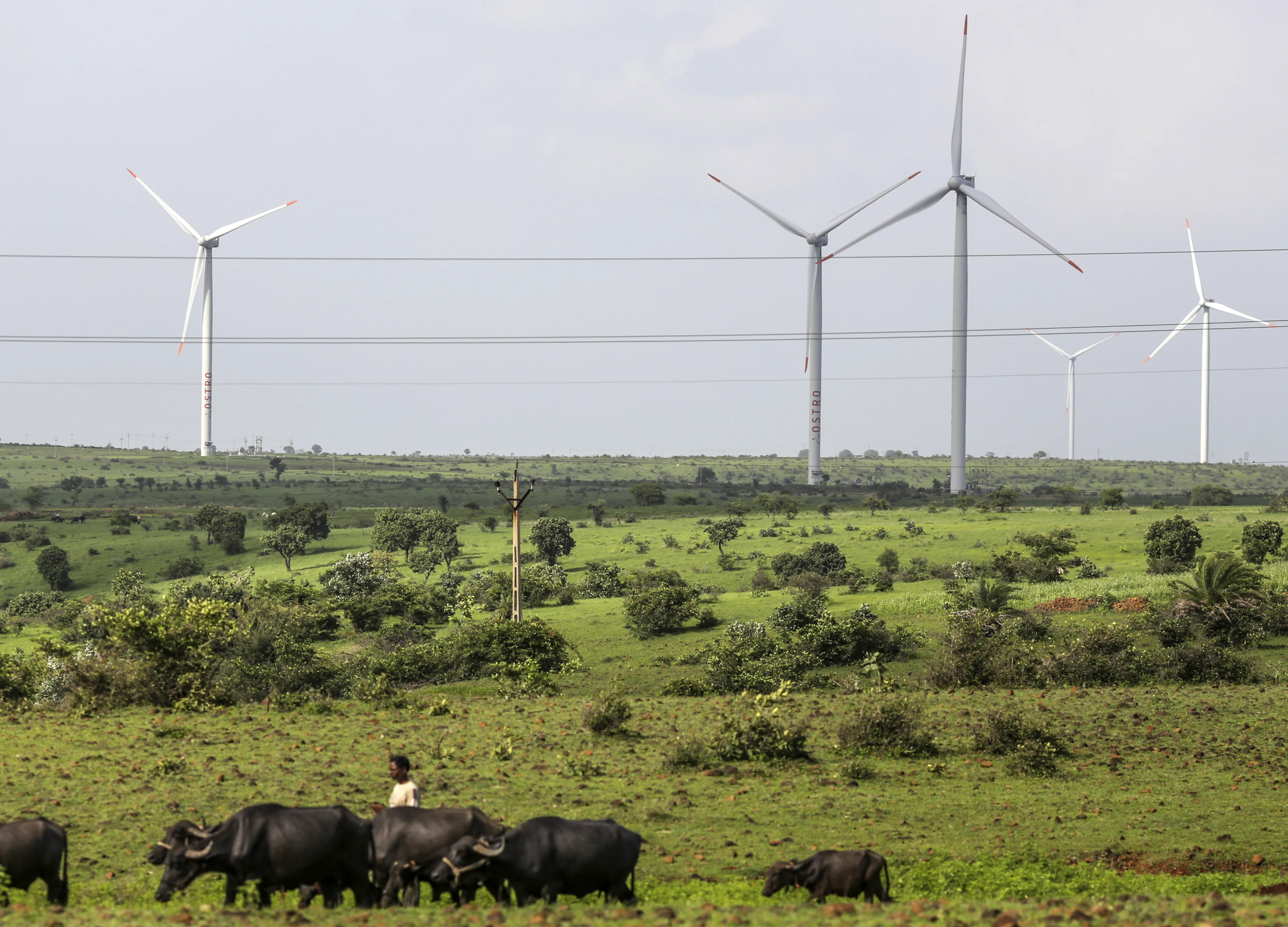 Why India’s Wind Turbine Makers Are Under Stress