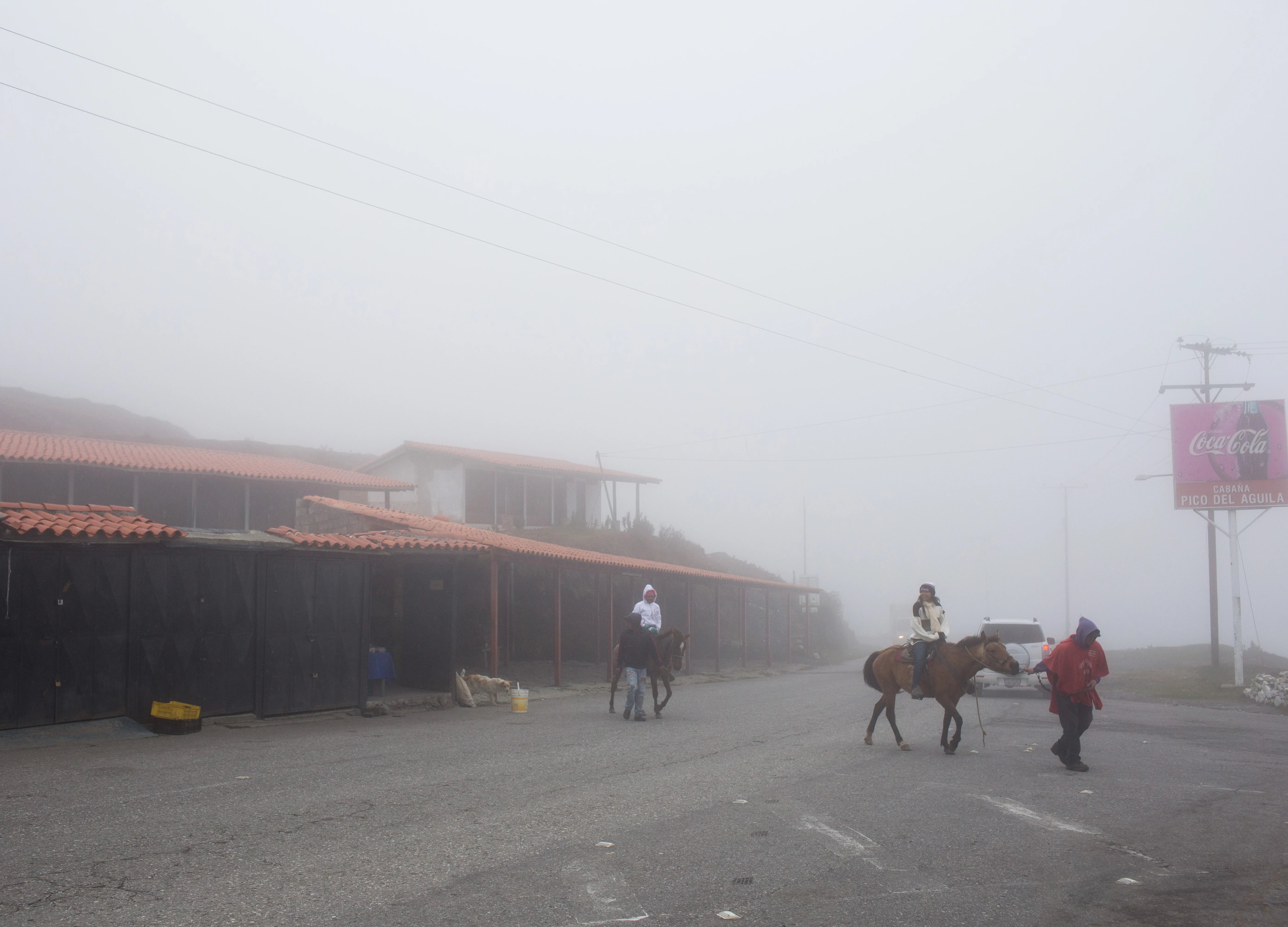 Suicides Surge in a Hopeless Venezuela