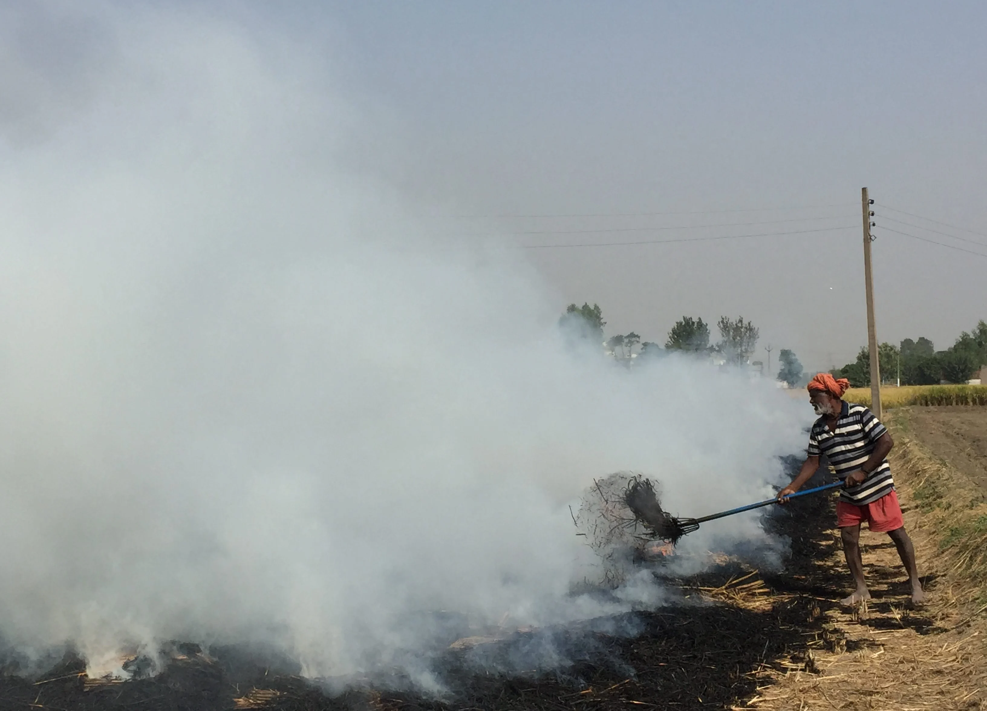 PM Modi Praises Punjab Farmers For Shunning Stubble Burning