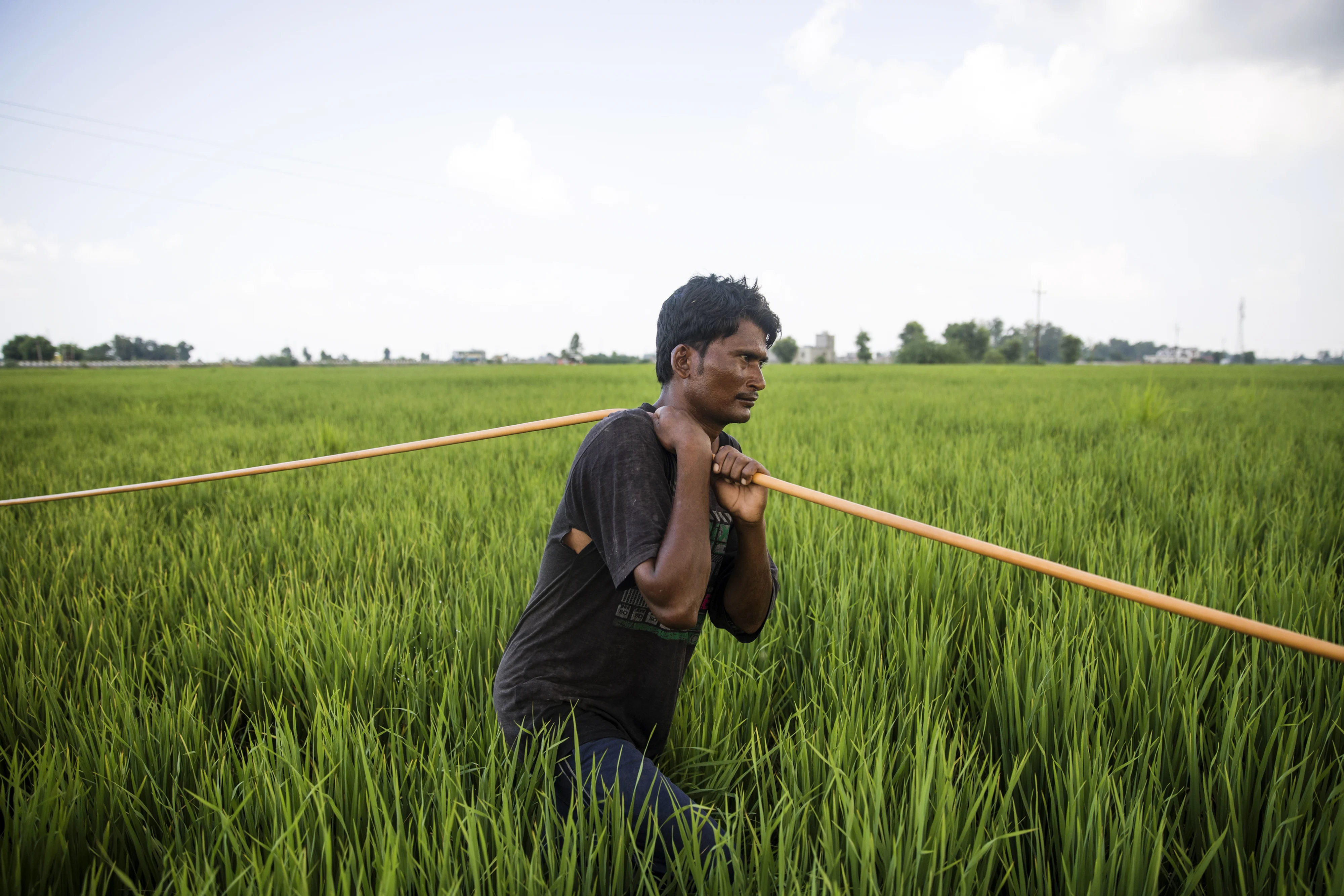 Budget 2019: Government To Provide Rs 6,000 Each To 12 Crore Farmer Families