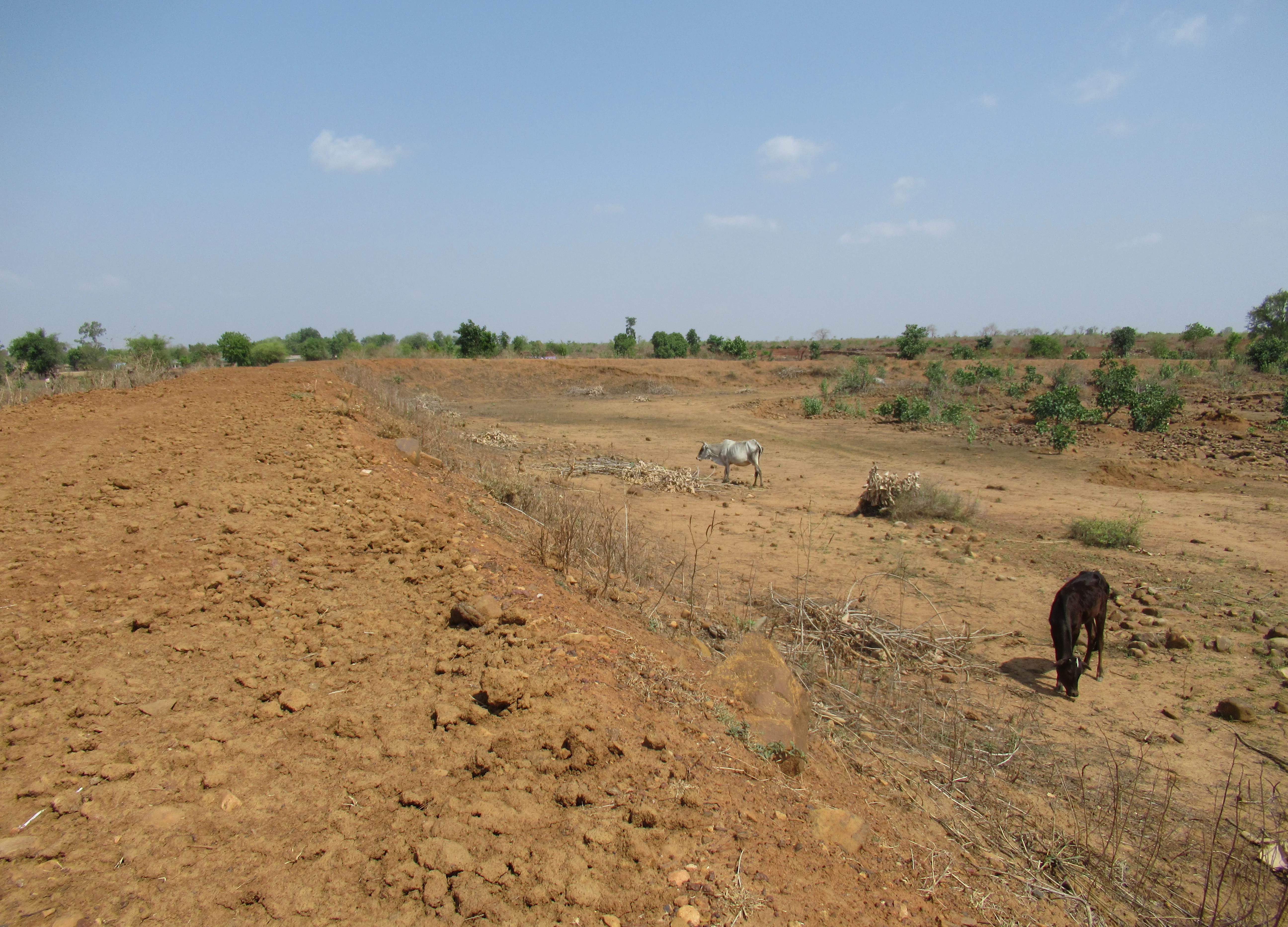 India’s Water Crisis: Bundelkhand Residents Take To The Road As Water Shortage Forces Migration