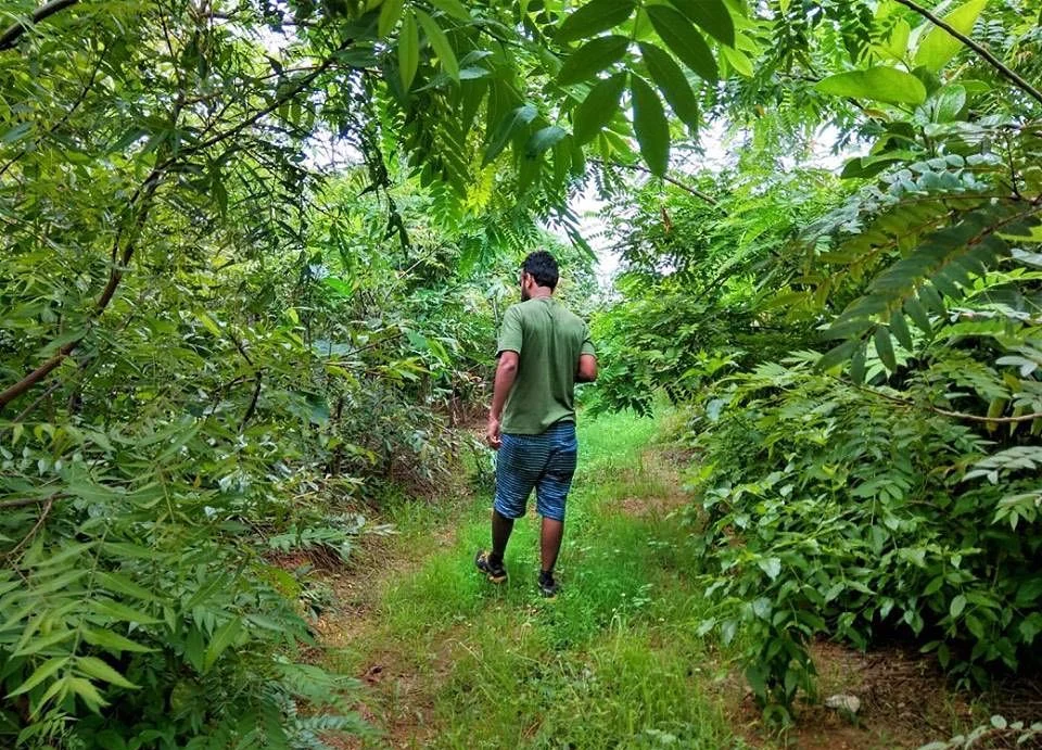 Startup Street: This Startup Is Building A Forest In The Middle Of Delhi