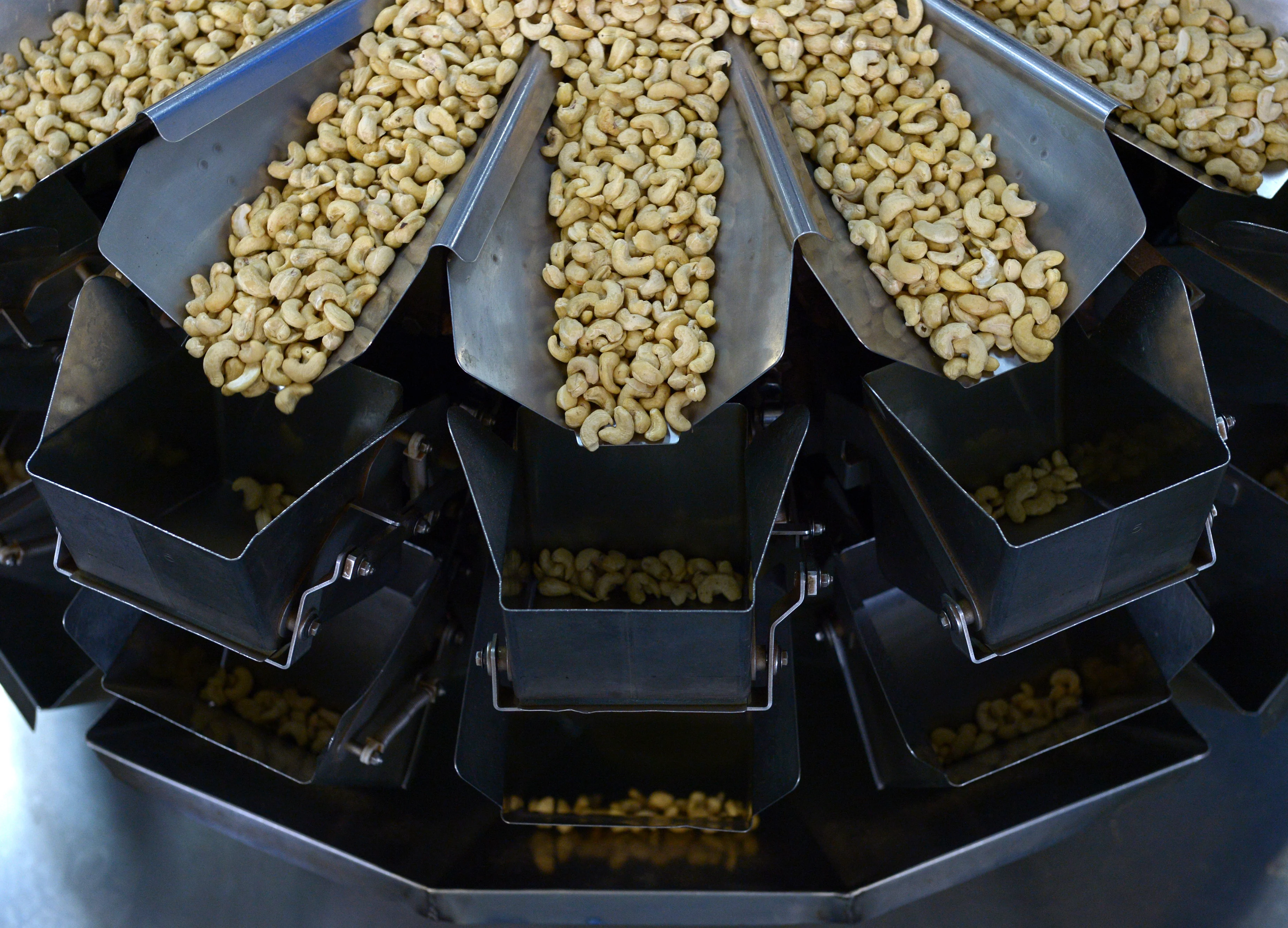 Budget 2019: Higher Import Duties On Cashew Kernels To Benefit Industry