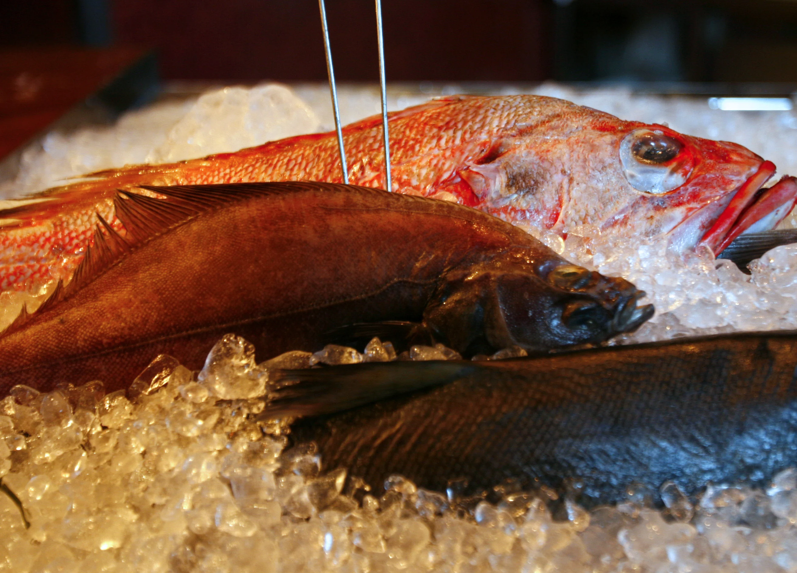 Don’t Try This at Home: The $250 Recipe for Fish Turducken