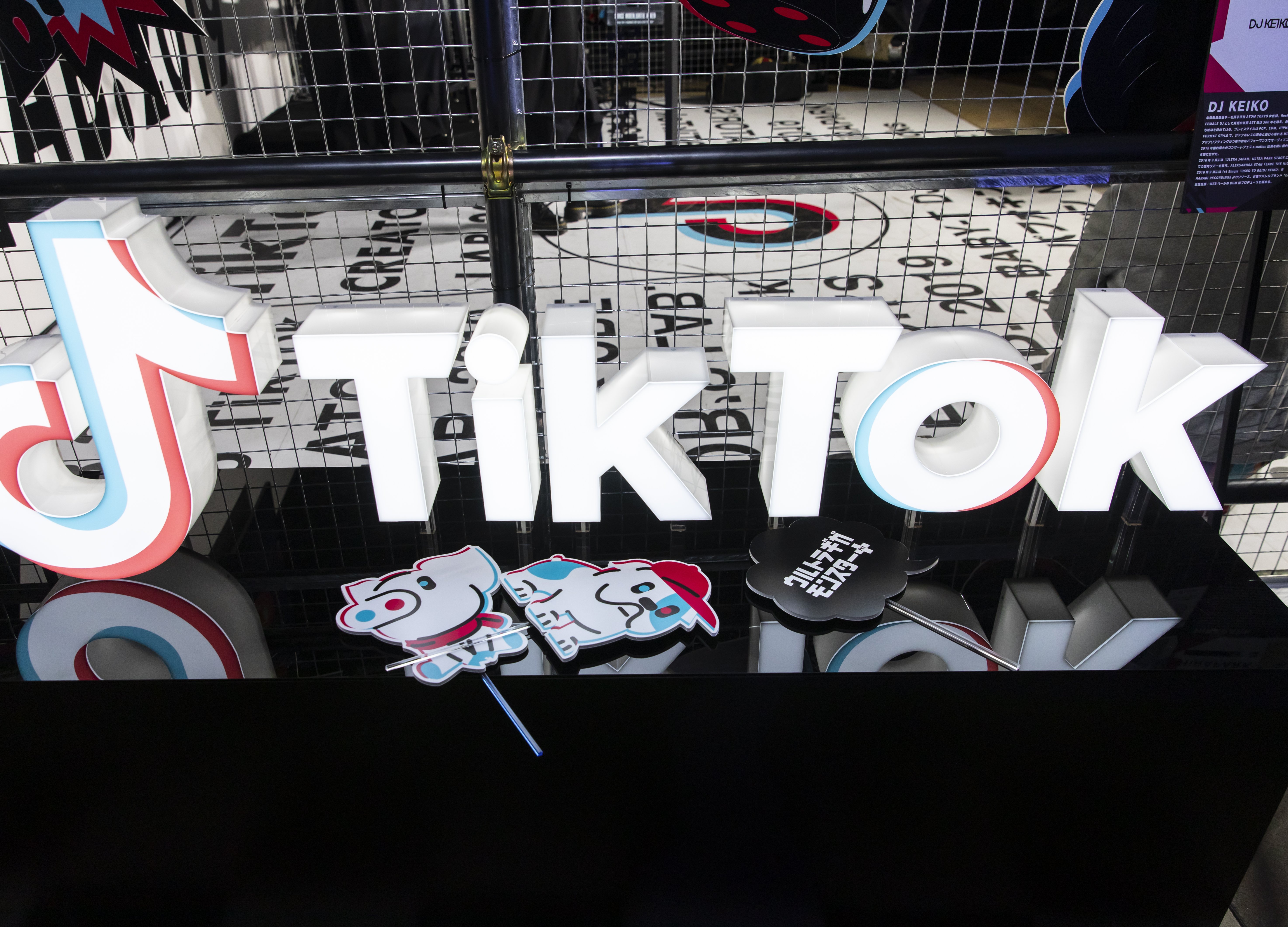 TikTok May Be Losing Its Appeal