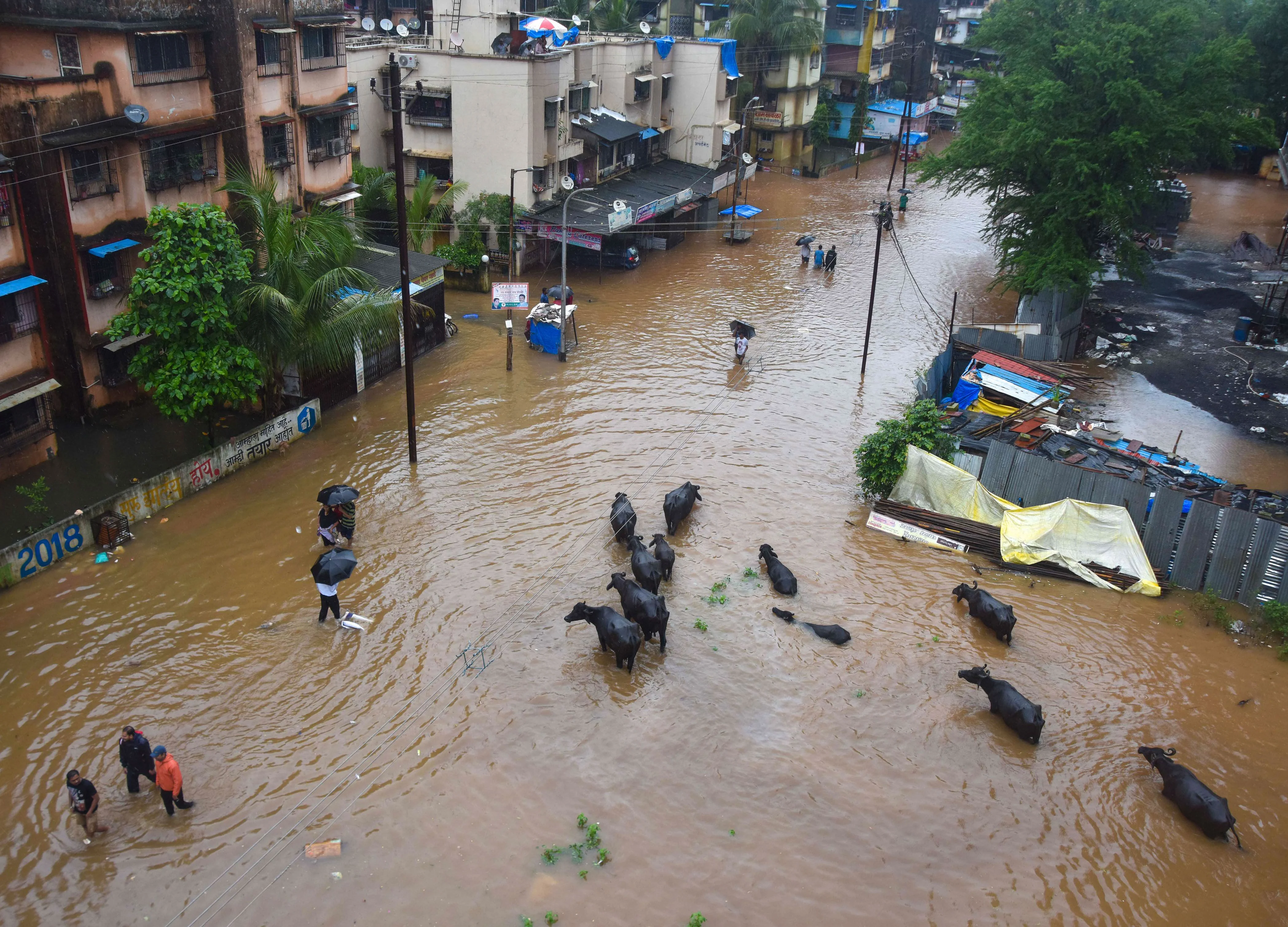 Maharashtra Had 104% Rain So Far, Situation In Kolhapur Critical: Devendra Fadnavis