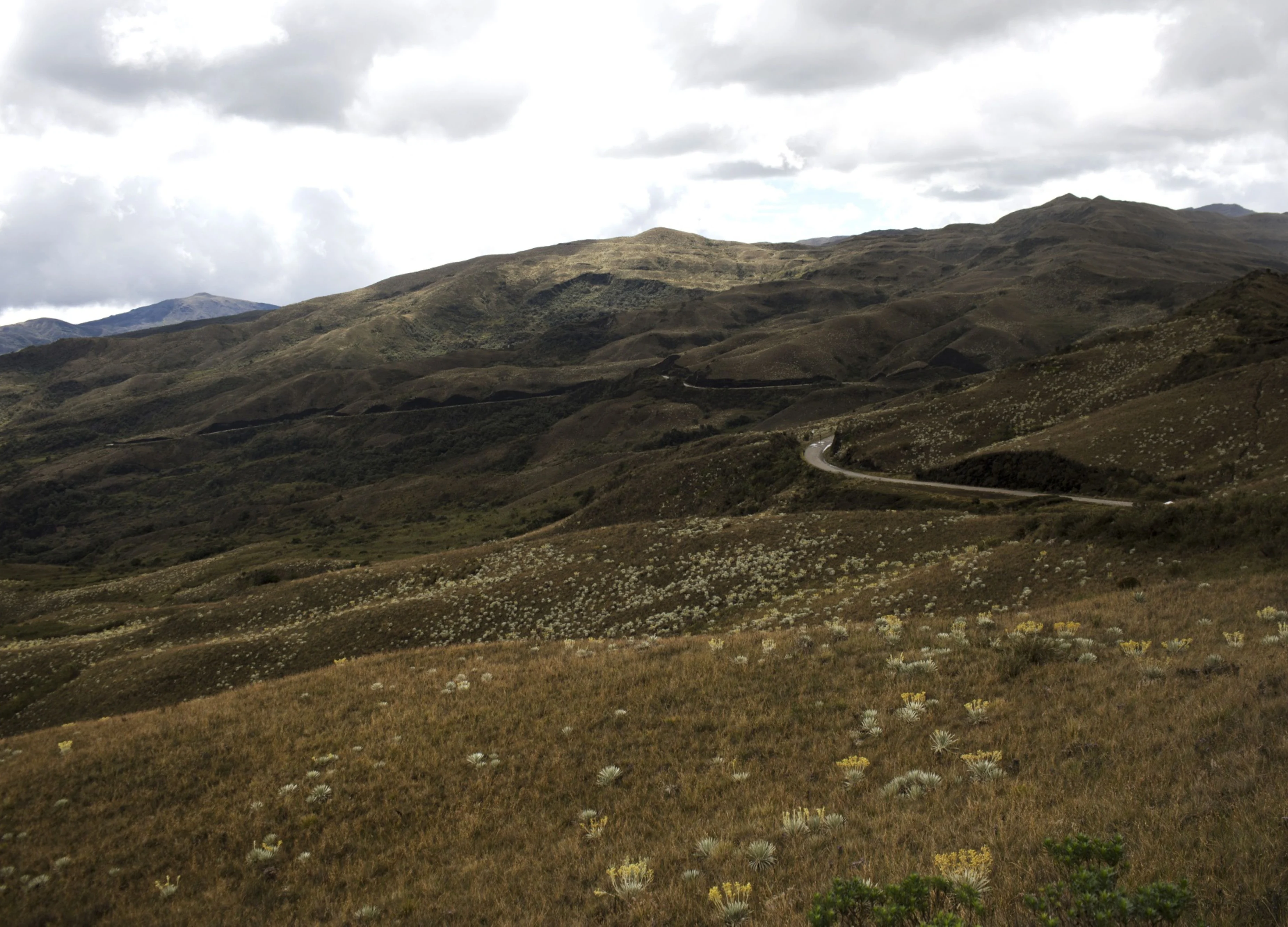 A Coors Brewing Heir Is Selling a 19-Acre Mountaintop Compound