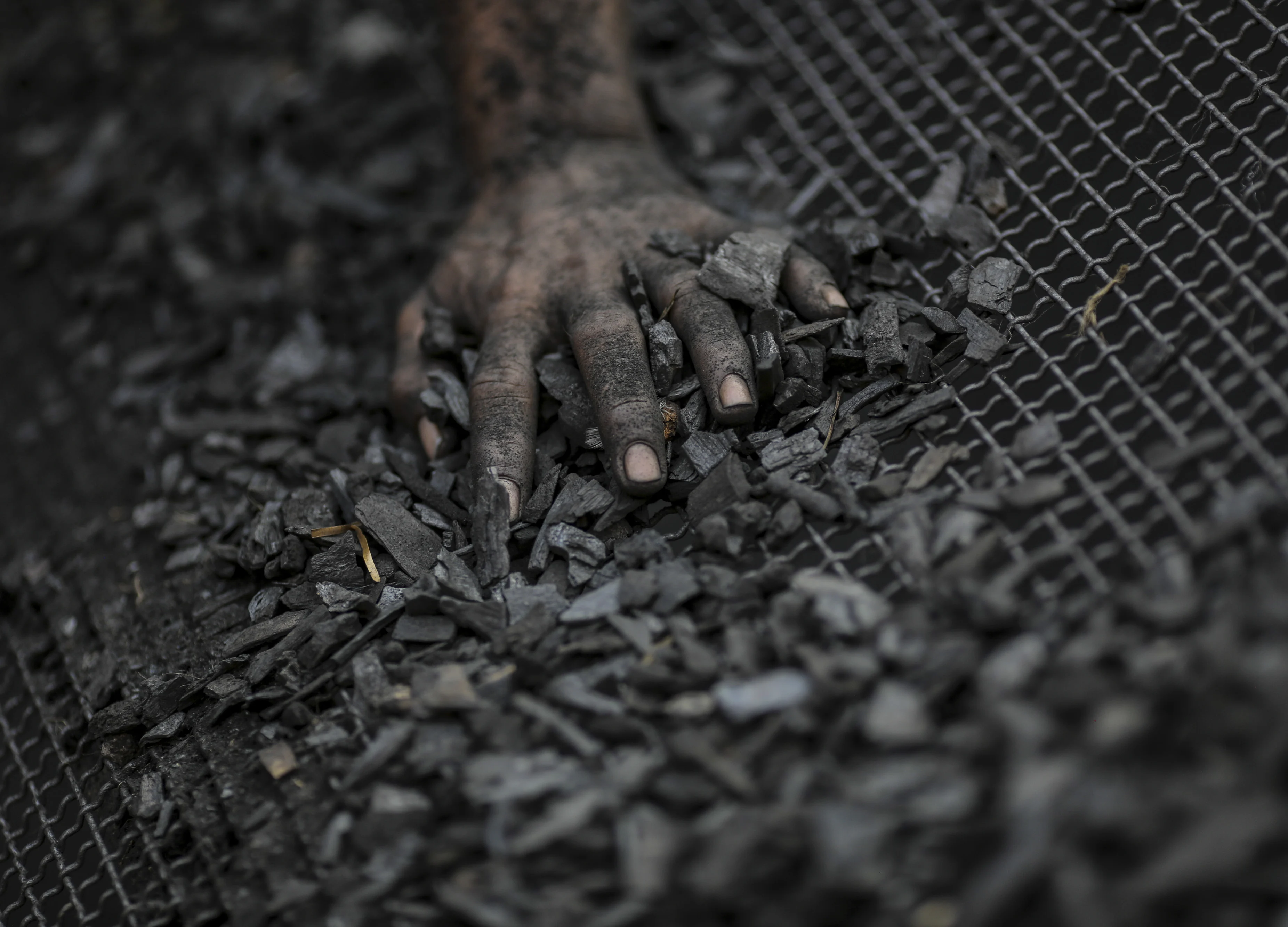 Q2 Results: Why Brokerages Hiked Coal India Stock’s Target Price