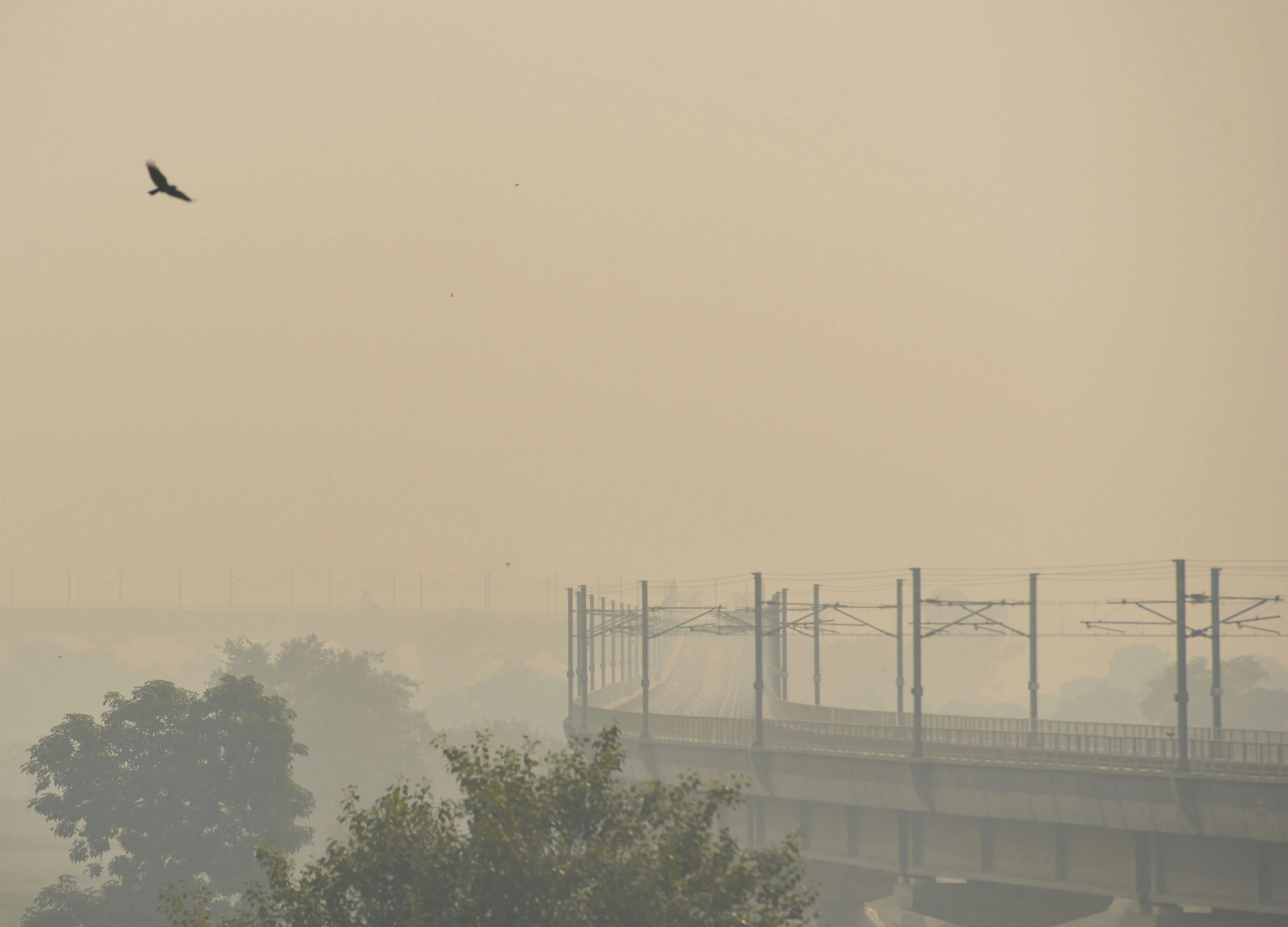 Delhi’s Air Quality Drops To ‘Severe’ Post Diwali, Season’s Worst