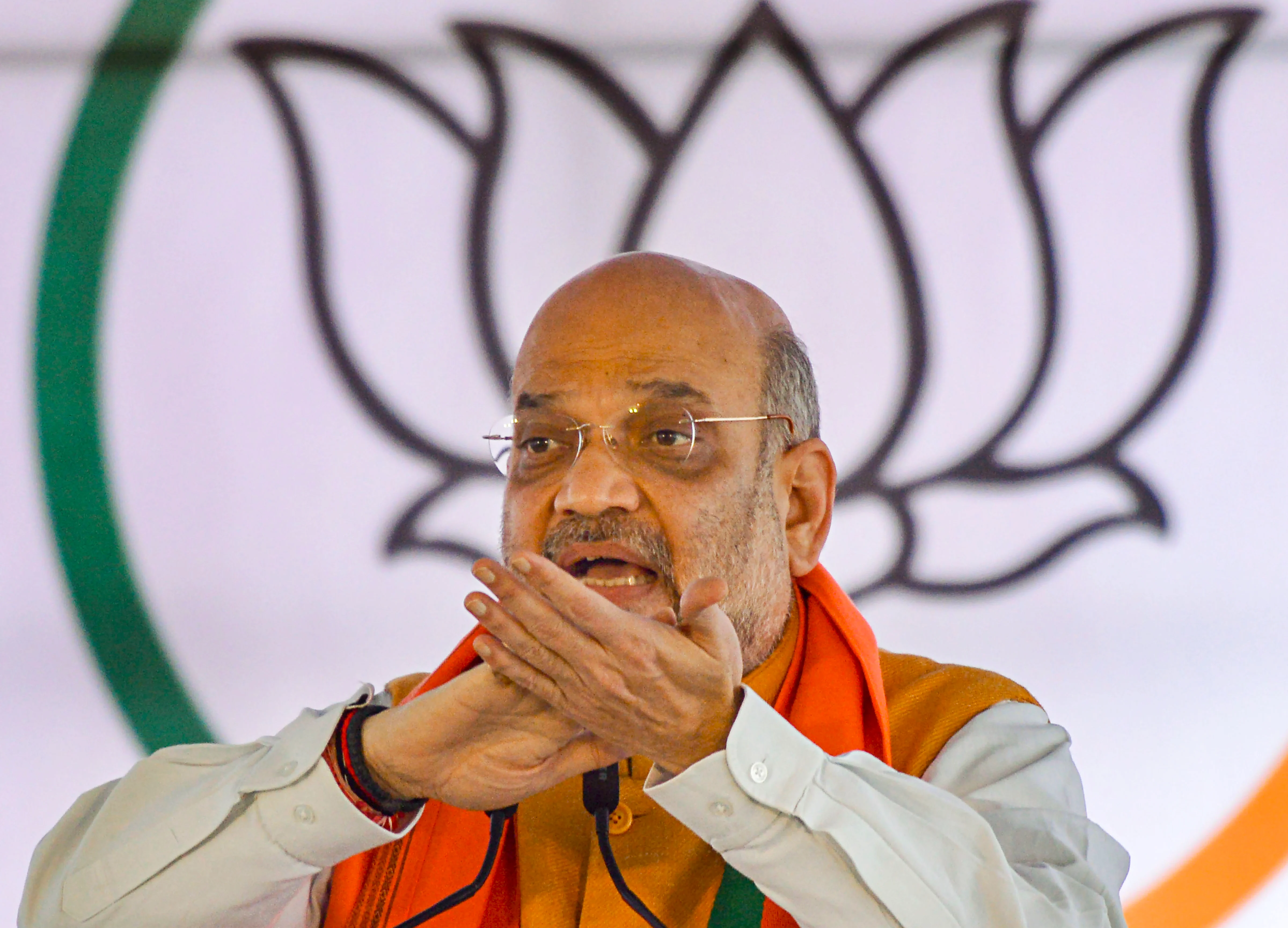 New BJP President By December, Says Amit Shah