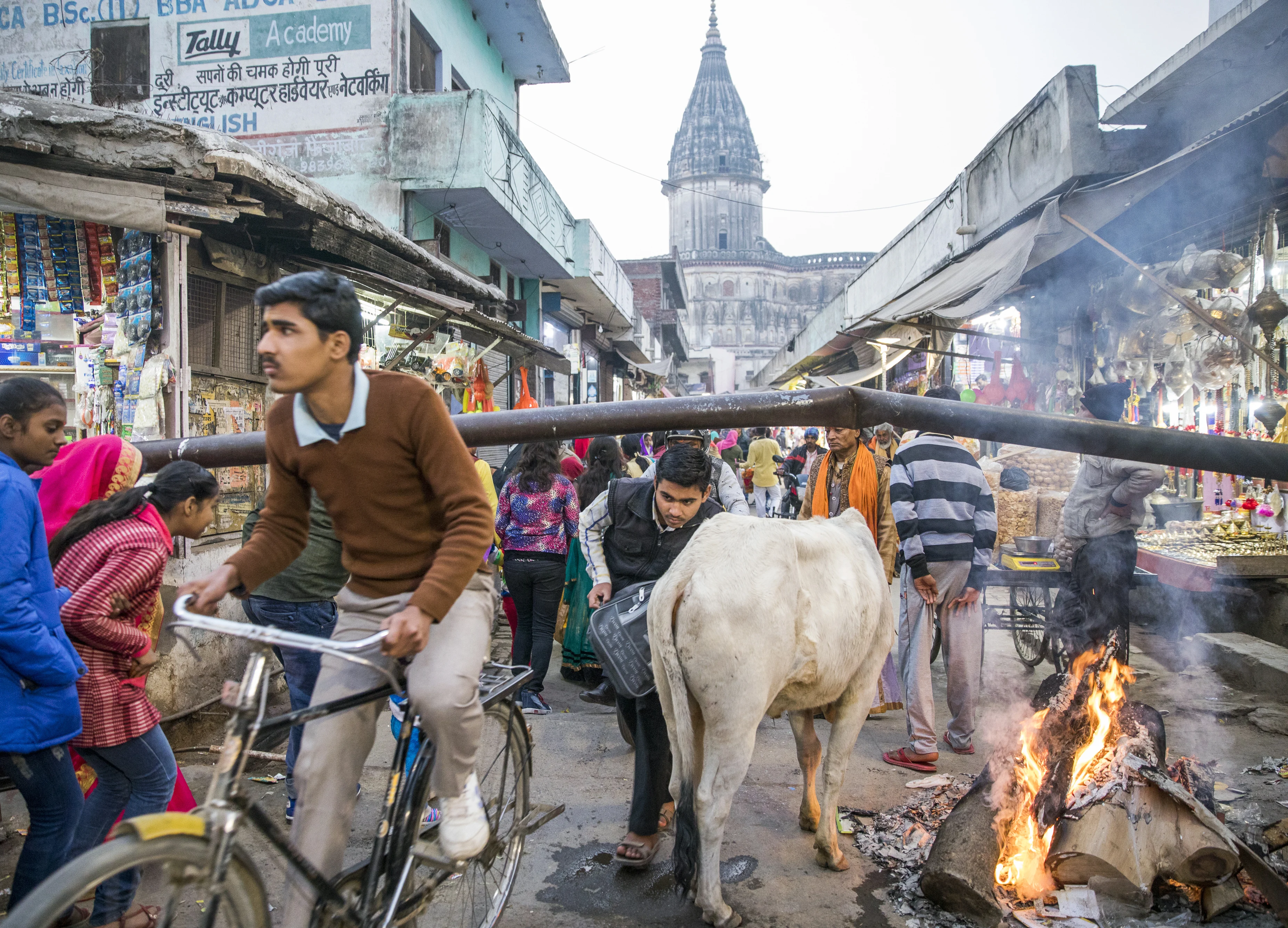 Rajasthan High Court Quashes Cattle Smuggling Case Against Pehlu Khan