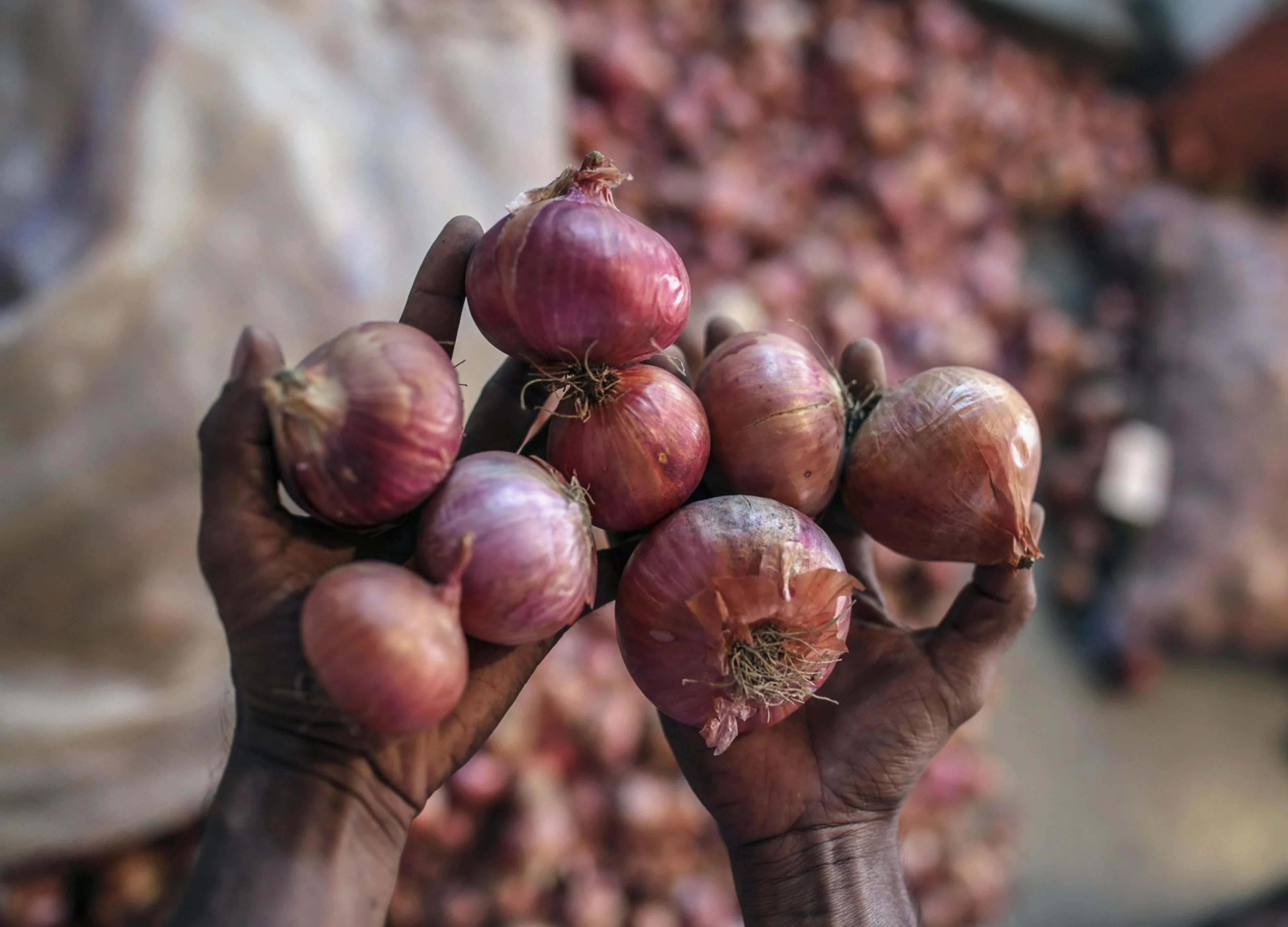 MMTC Signs Second Onion Import Order, To Buy 11,000 Tonnes From Turkey