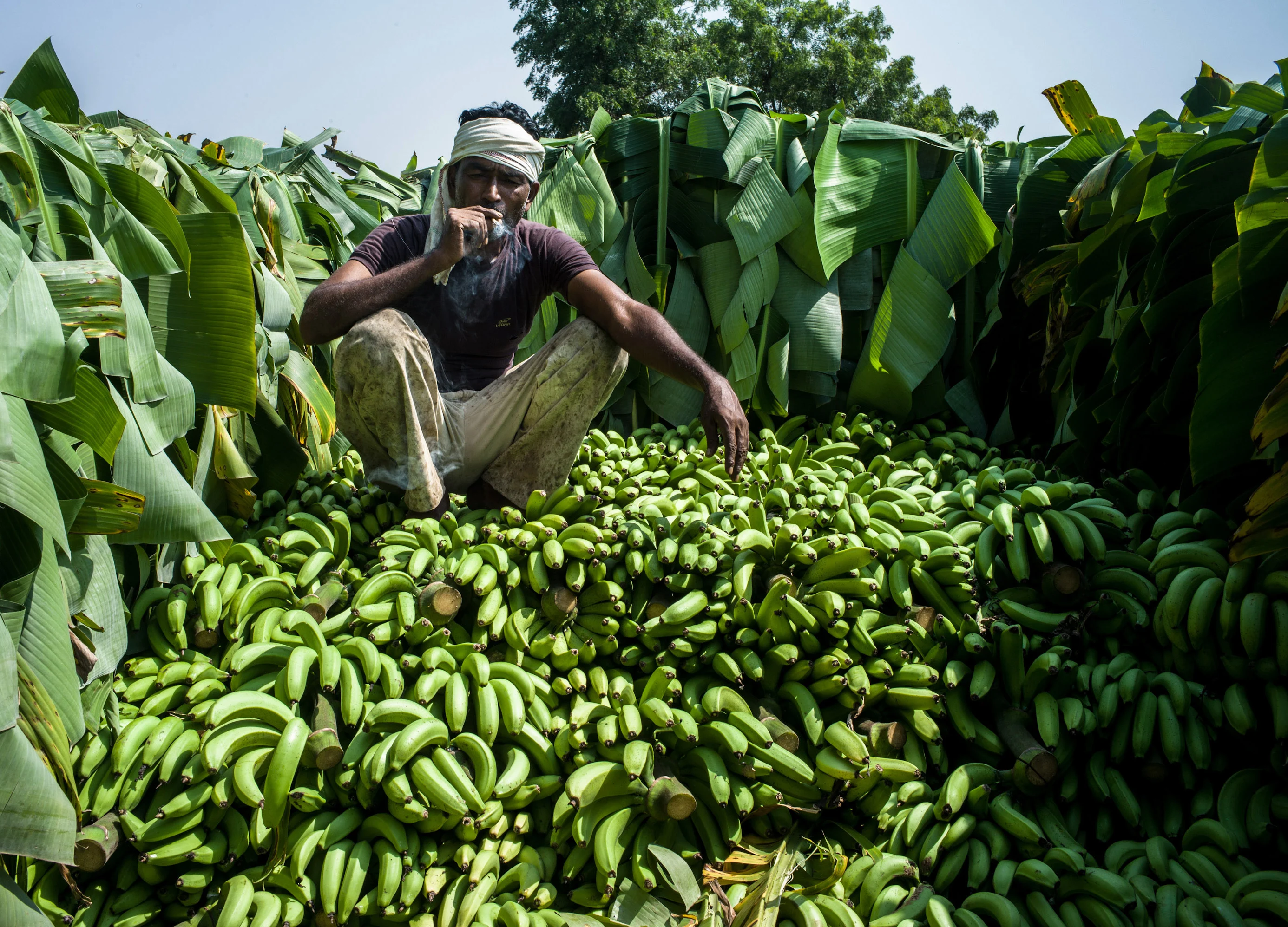 The World Loses $400 Billion of Food Before It Reaches Stores
