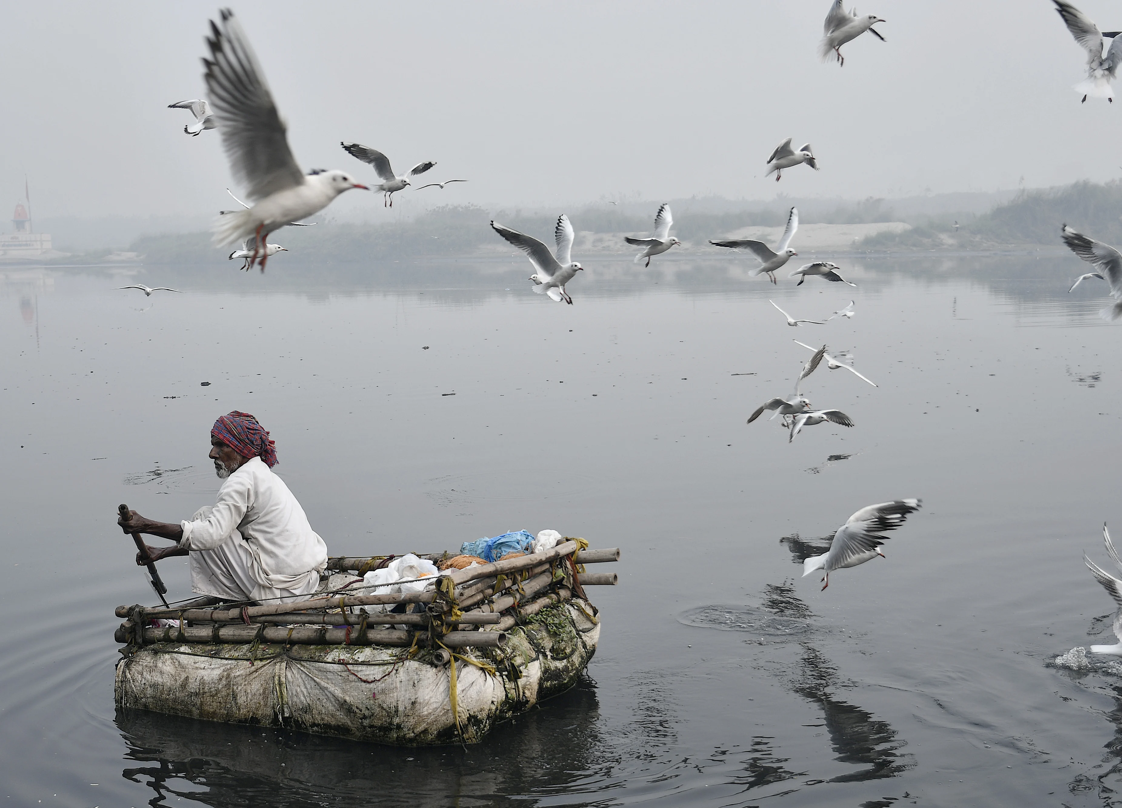 Wildlife-Watching In The World’s Most Polluted Places