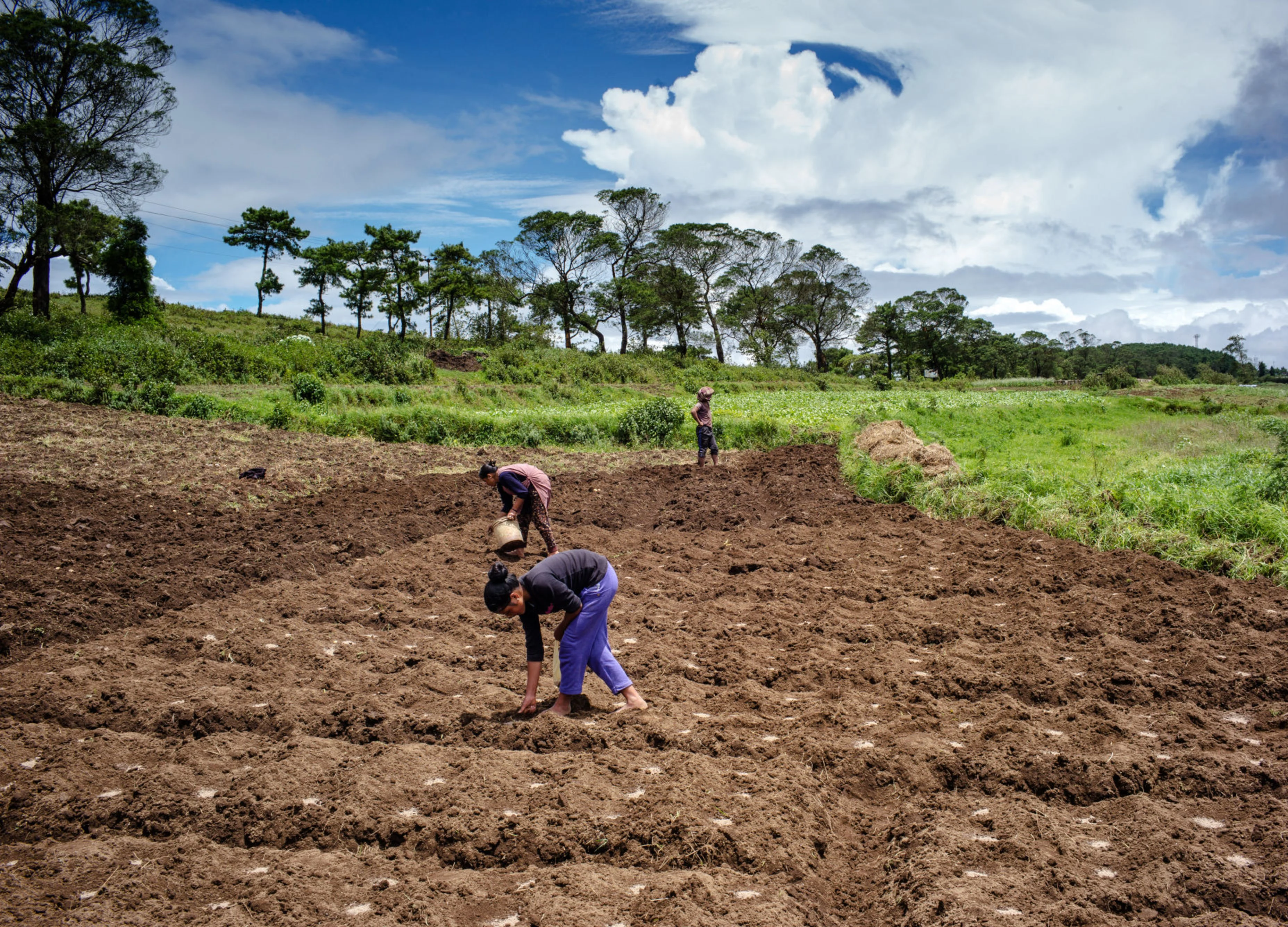 Startup Street: A Sandbox For Startups To Get Ready For The Agritech Boom