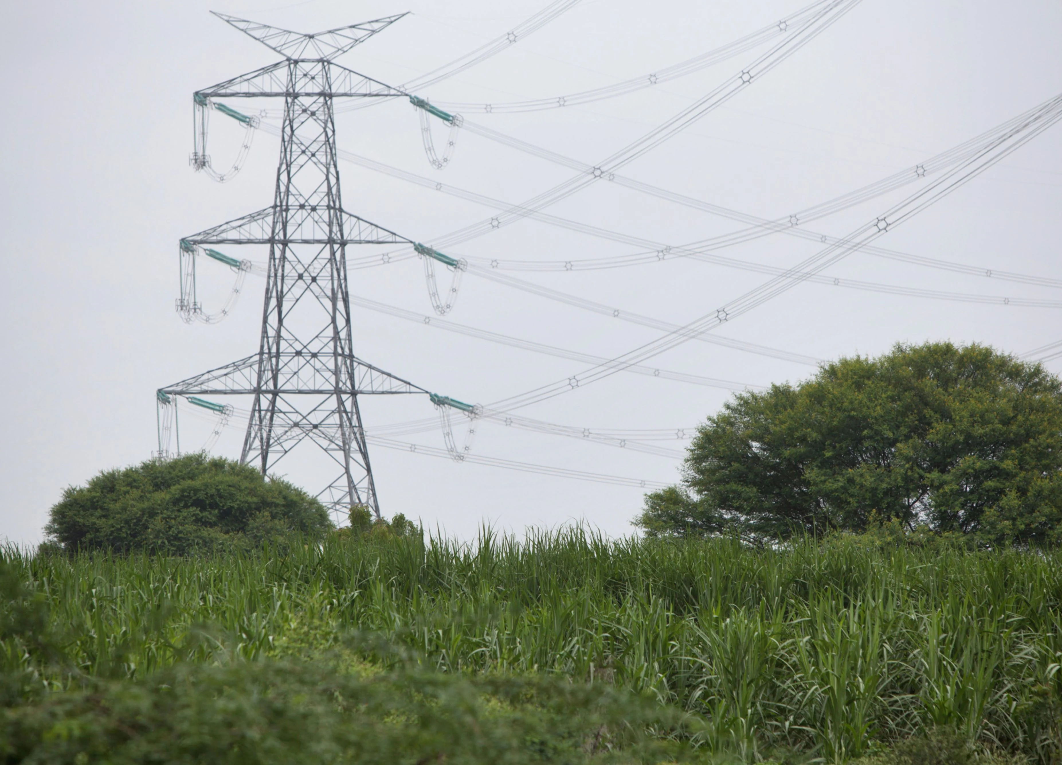 Q2 Results: Power Grid Profit Meets Estimates As Margin Expands