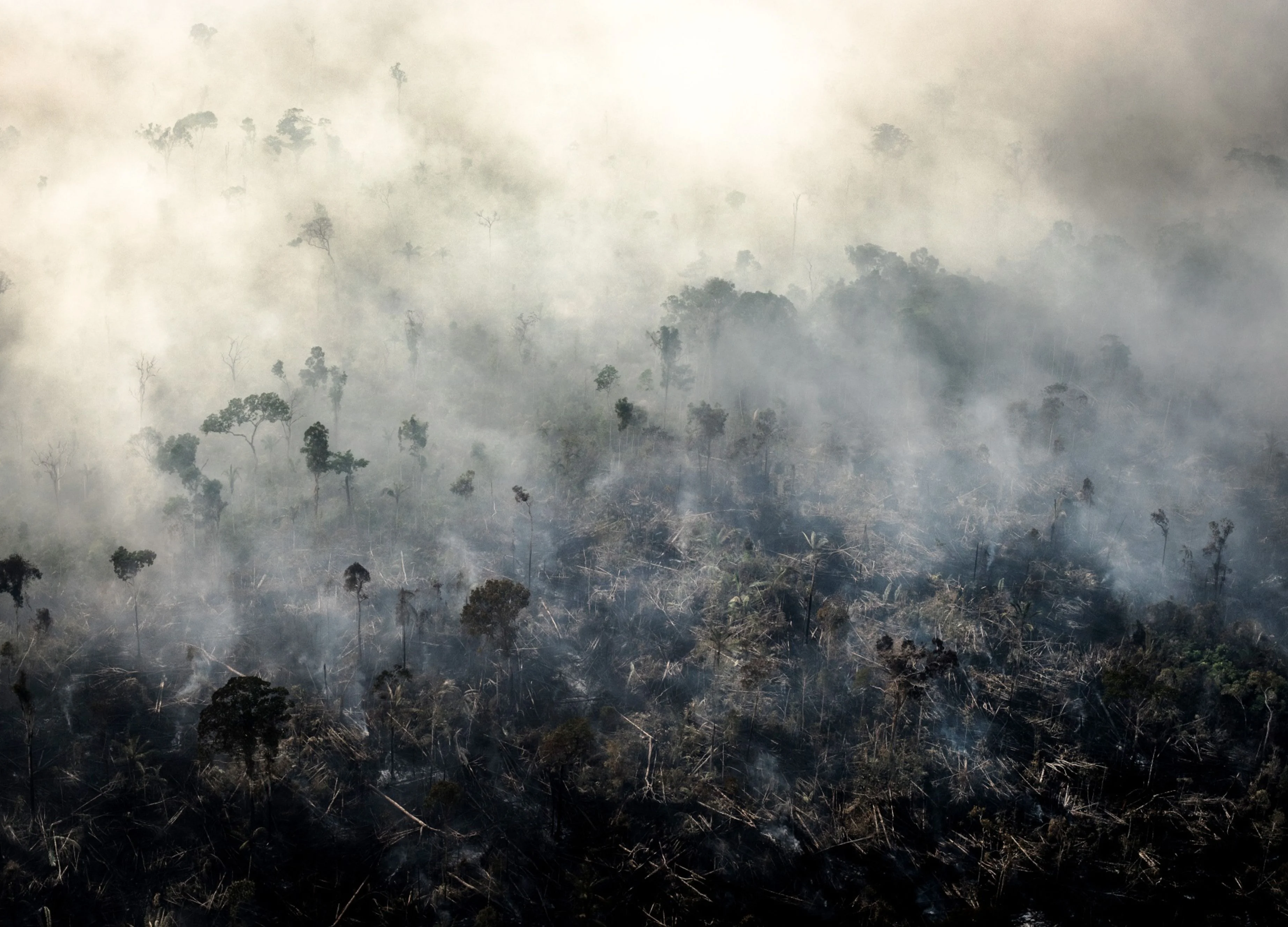 Global Warming Prediction Sounds Alarm for Climate Fight