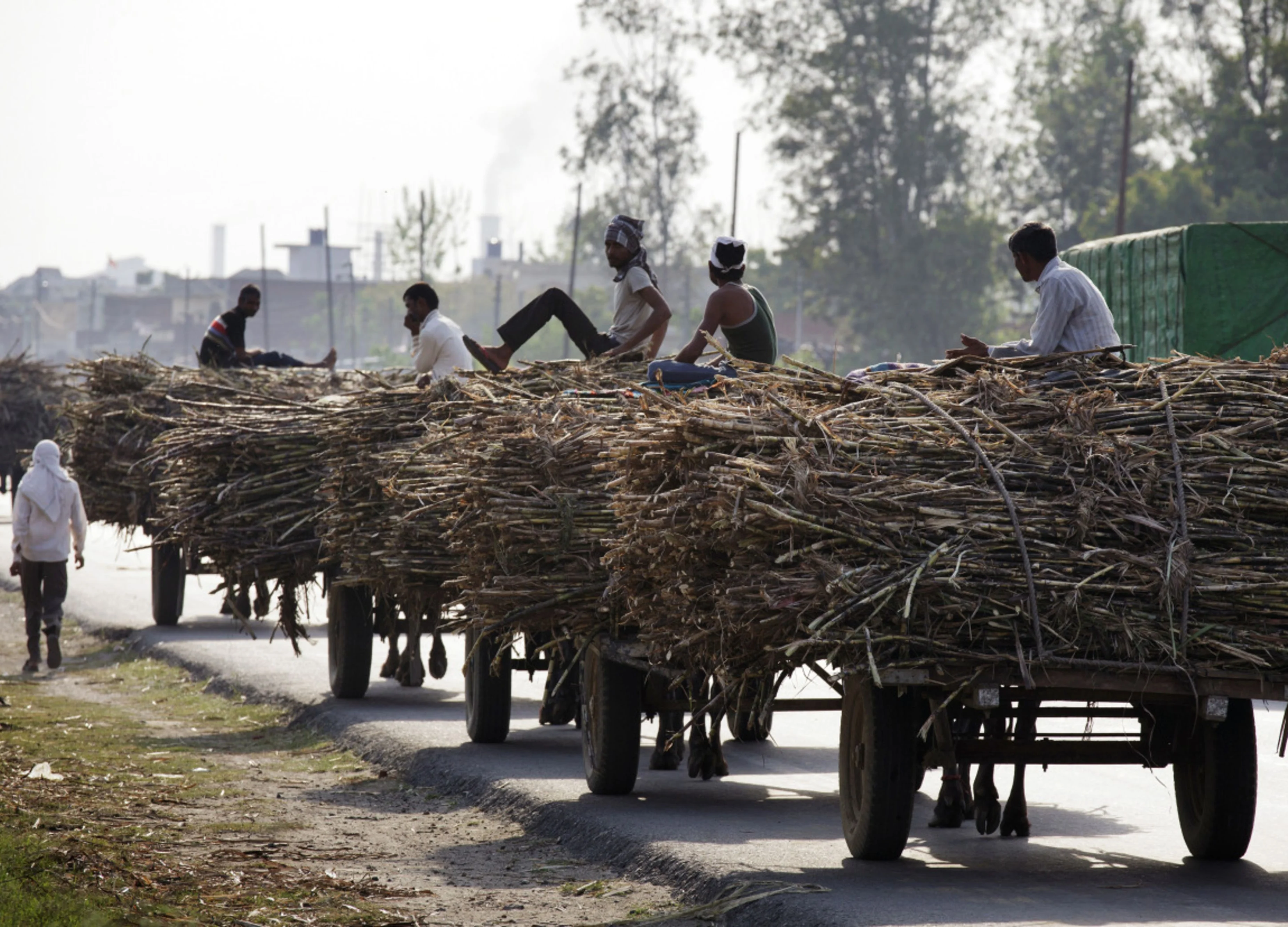 Booze May Be Hurdle to India’s Energy Independence
