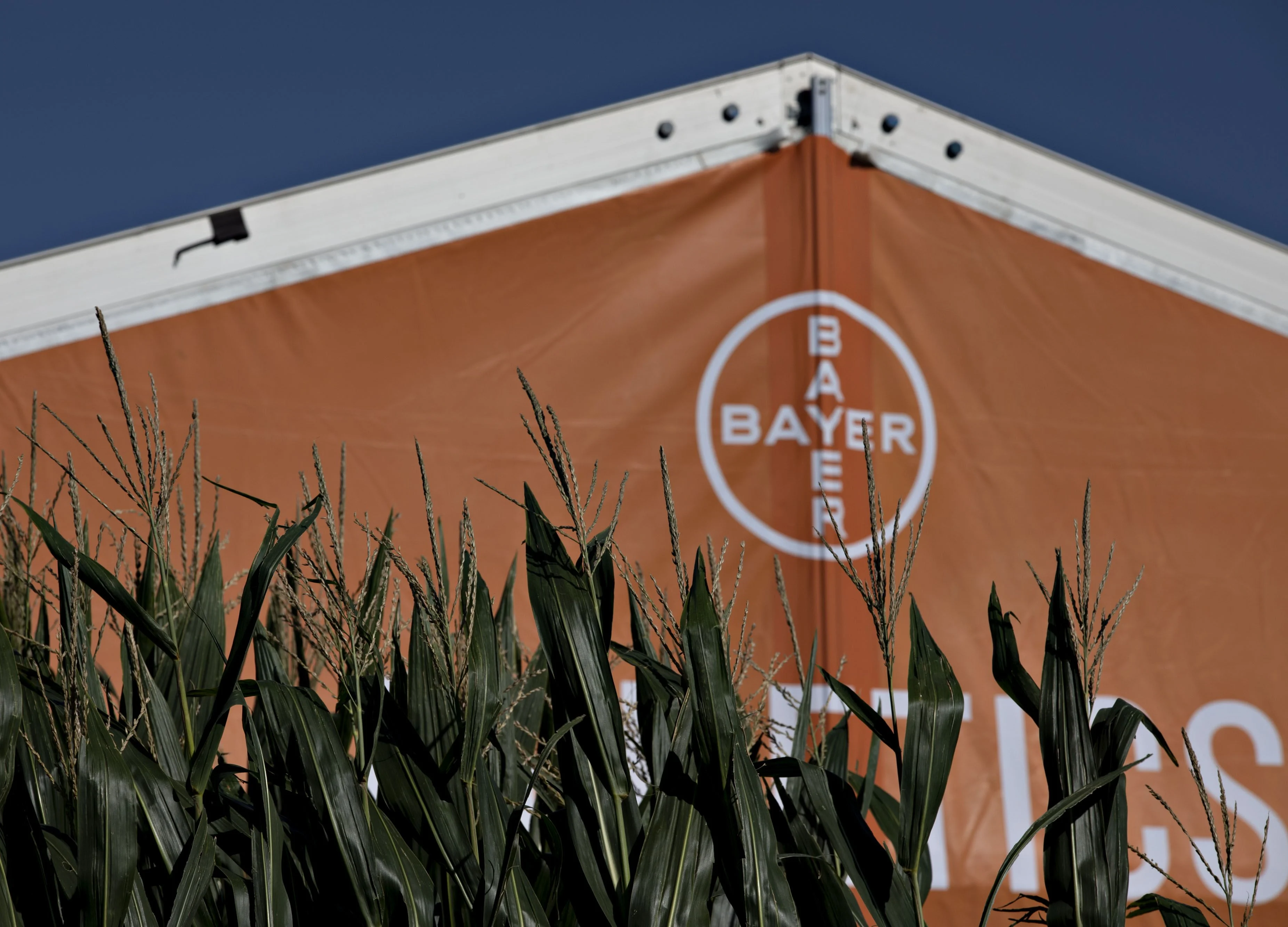 Bayer’s Dicamba Hit Tests Patience of Frustrated Investors