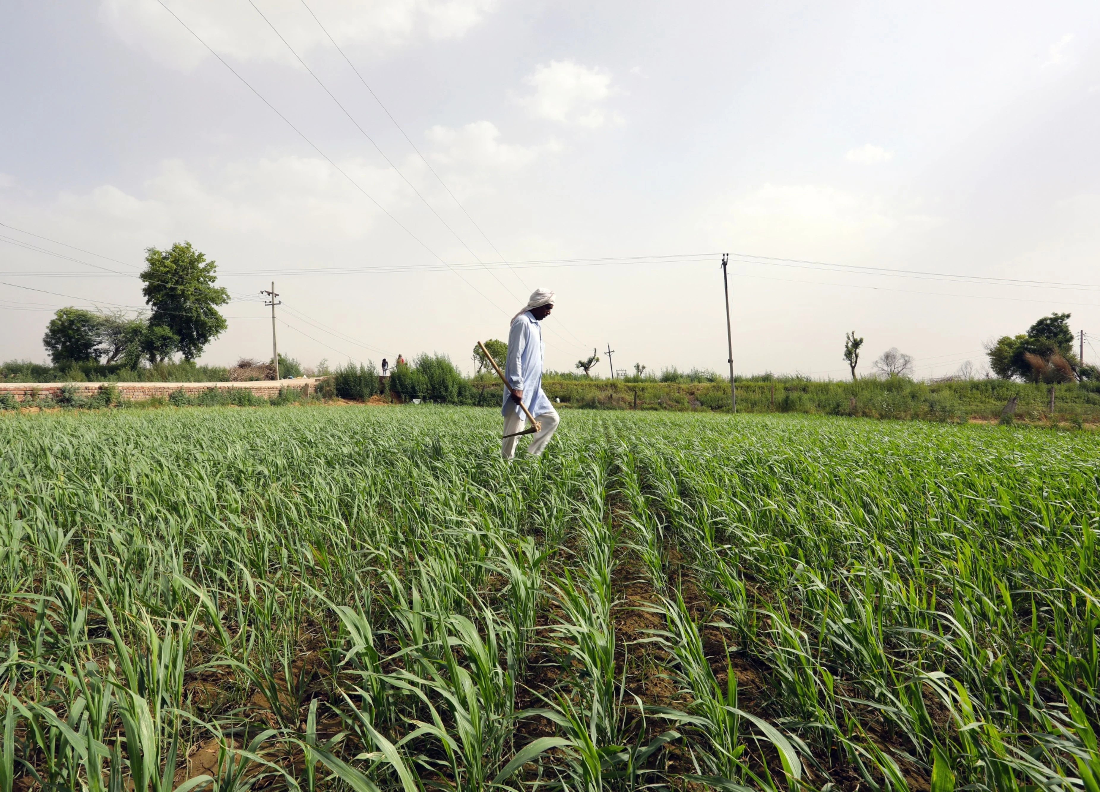 ITC’s Sanjiv Puri To Lead 15th Finance Commission’s Panel On Agri Reforms