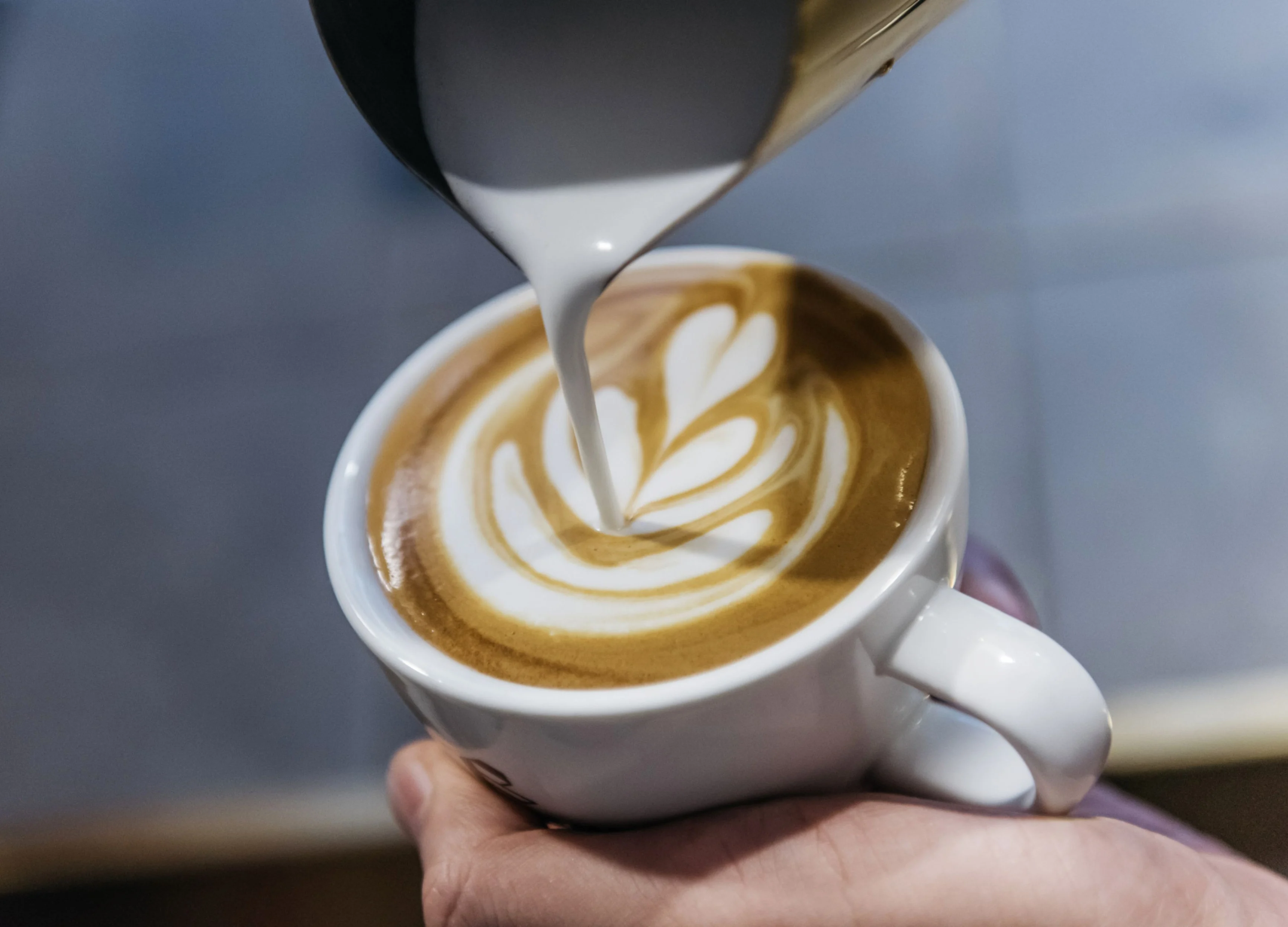 The Crop Software Behind Your Daily Cup of Coffee