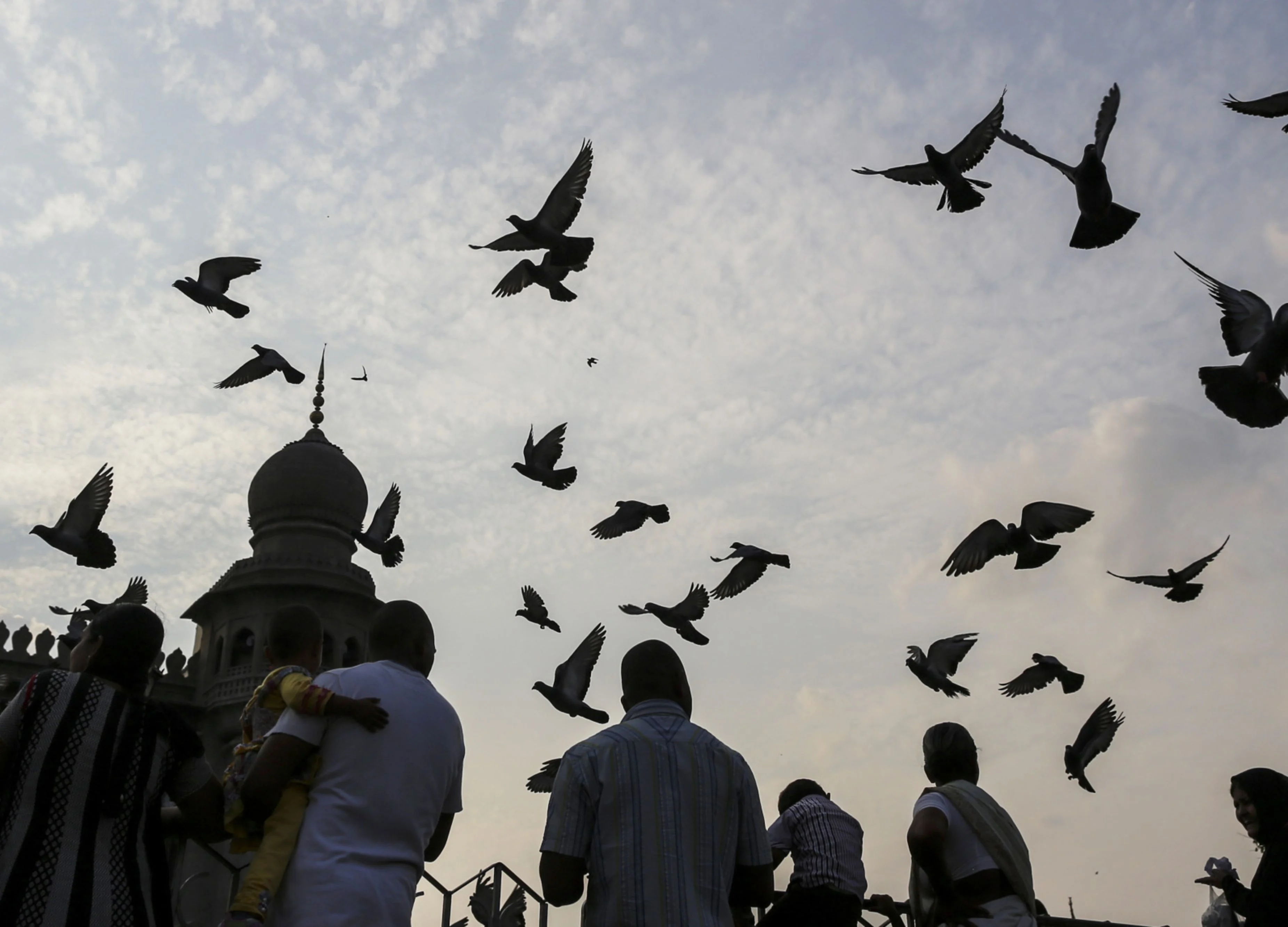 Indian Economy May Be Set for the Road to Recovery in 2020