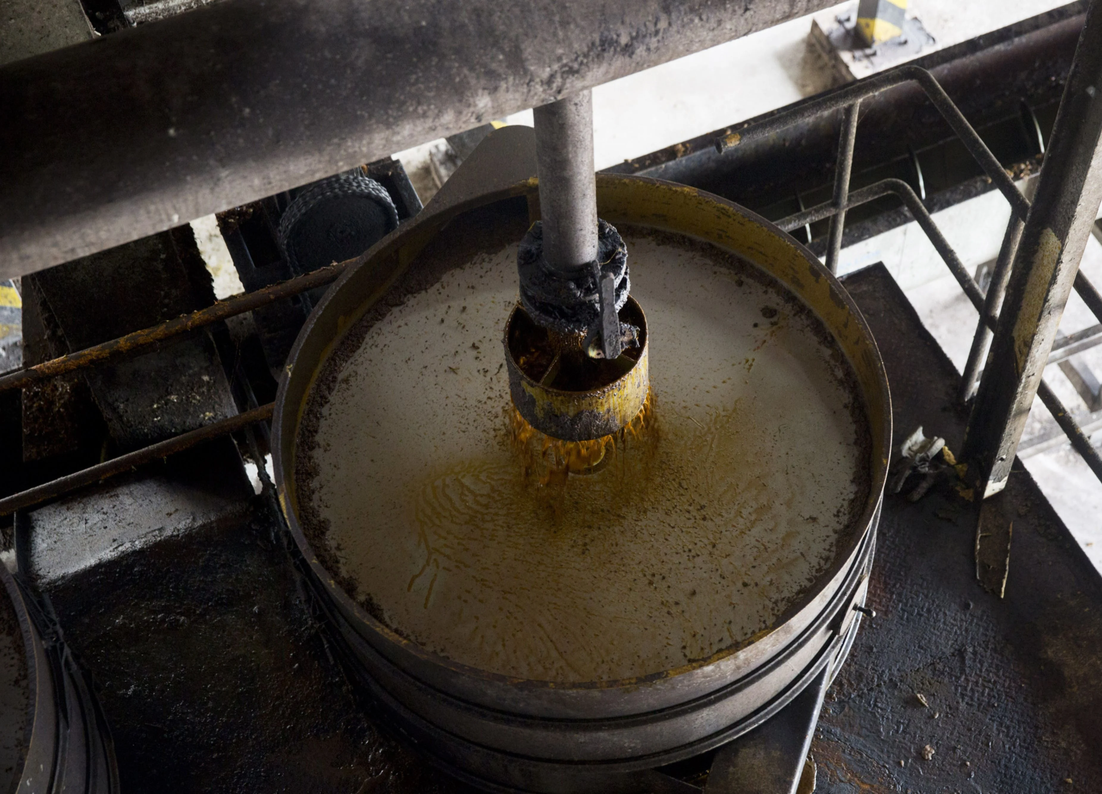 Bill Gates-Led Fund Invests in Synthetic Palm Oil Startup