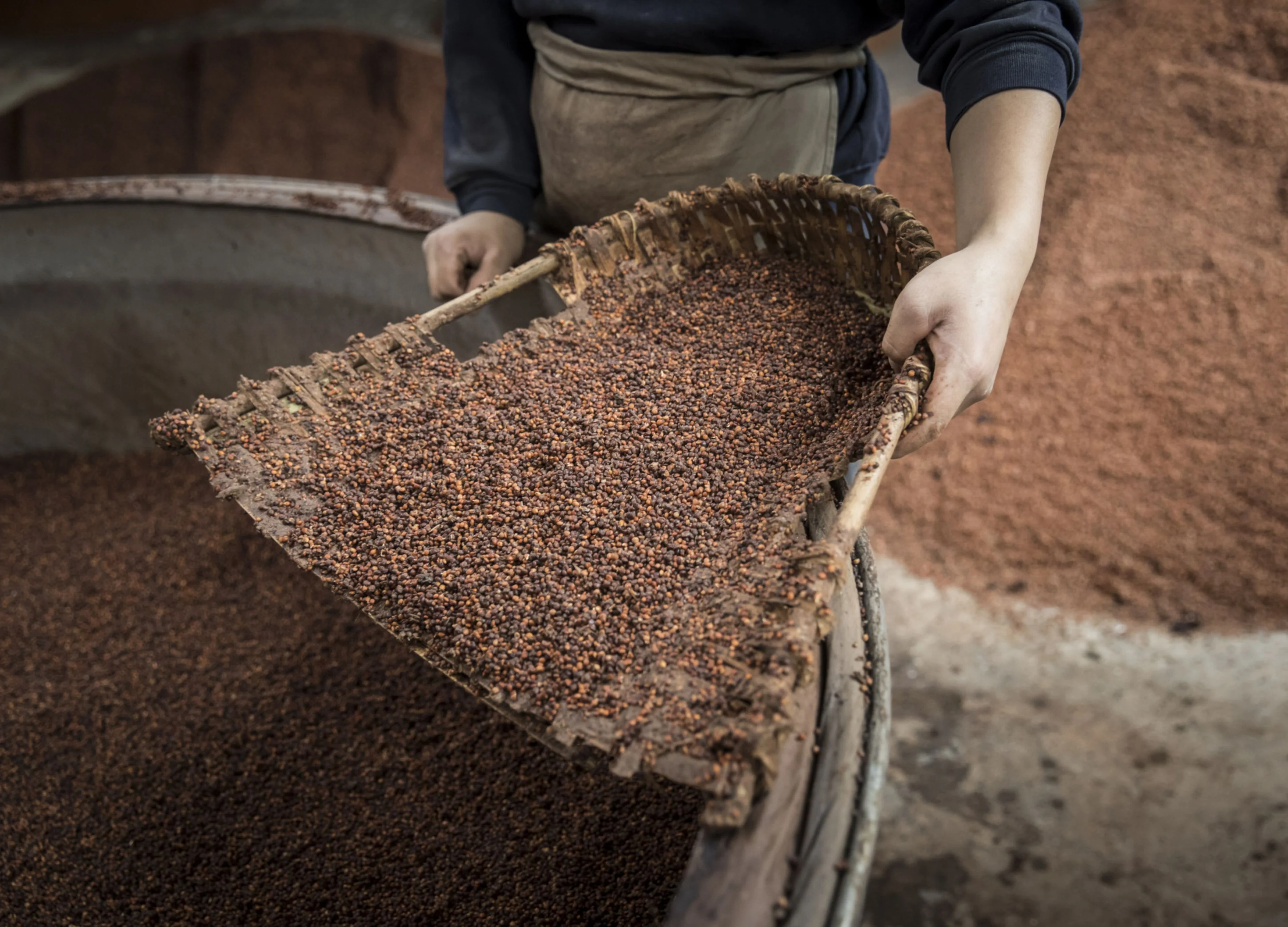 China Is Lured Back to U.S. Farm Buying Thanks to Cheap Sorghum