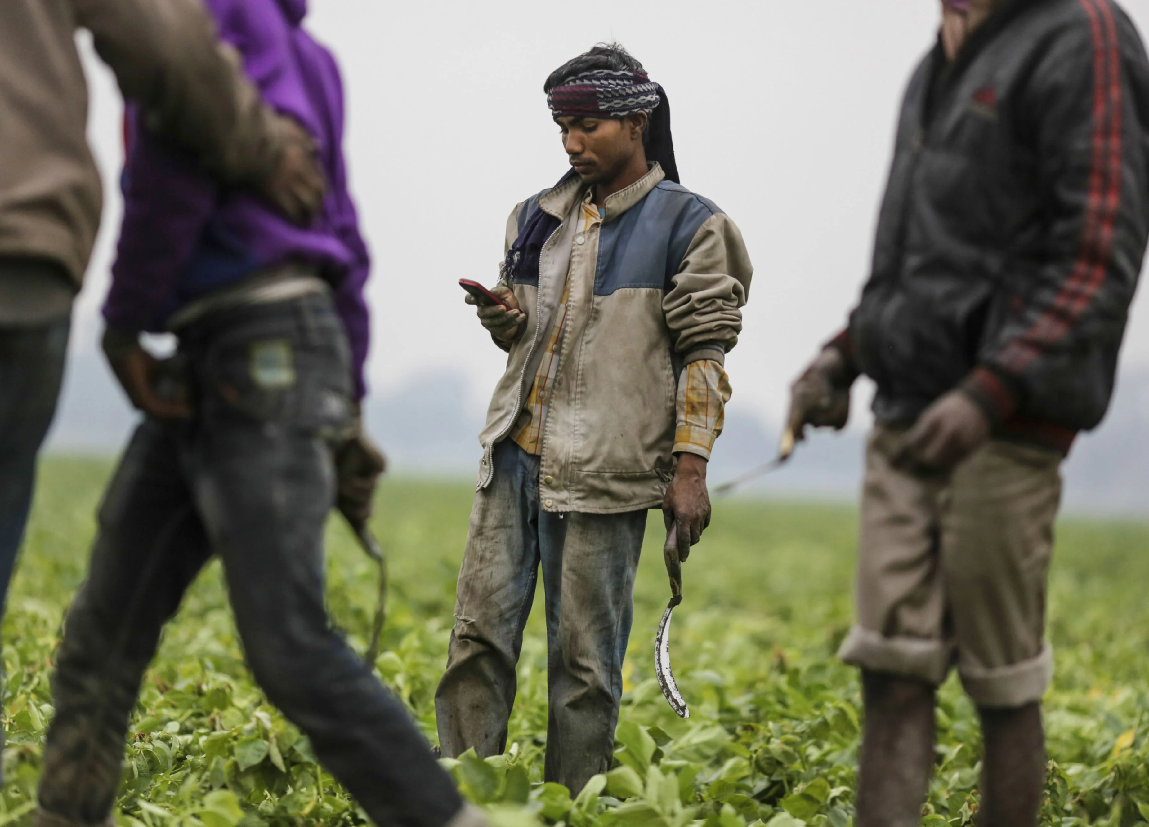 Coronavirus Fallout: Harvest Season Disruptions Feared Amid Country-Wide Lockdown
