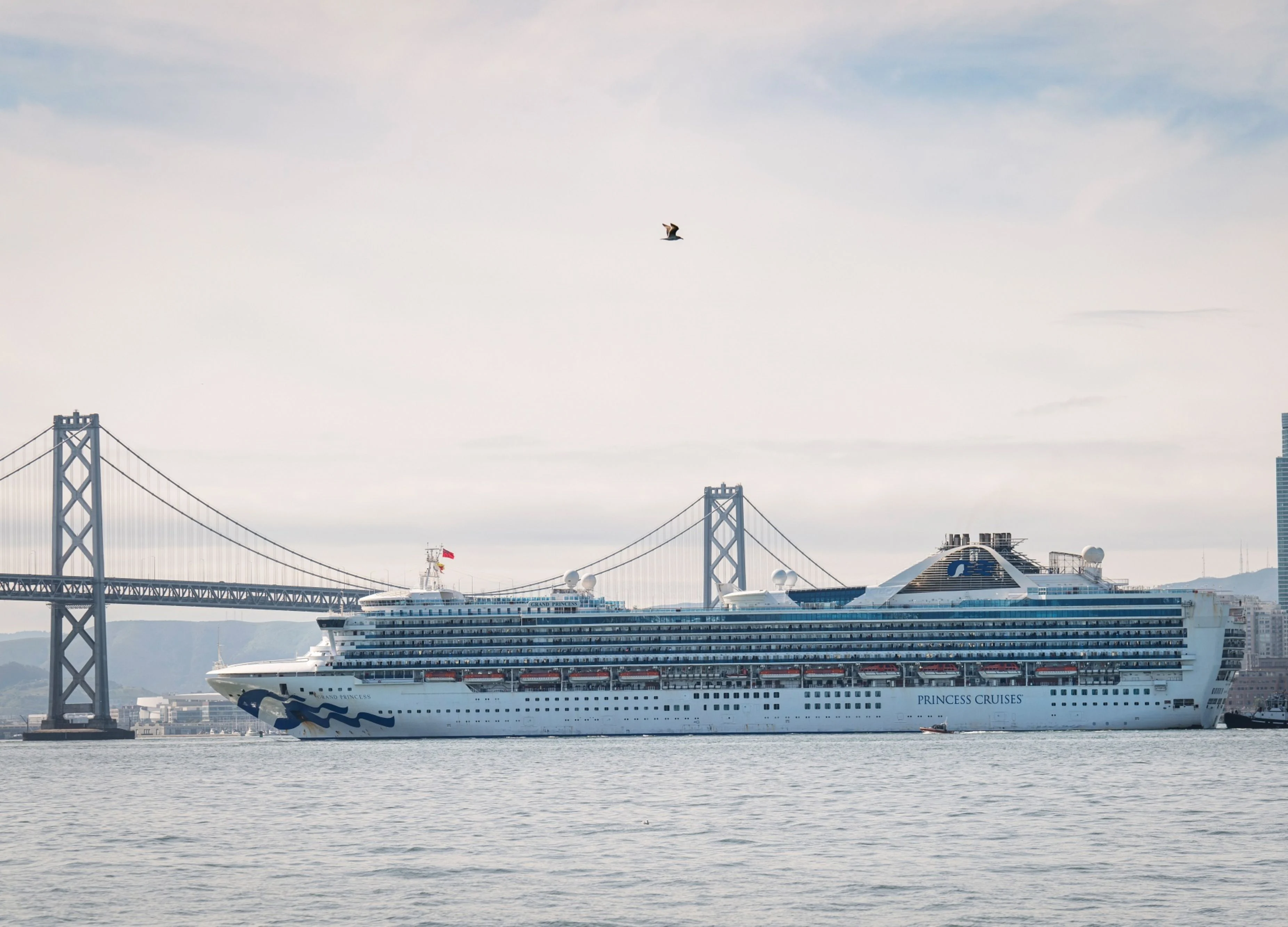 ‘If We Sanitize, It Will Be Fine’: Cruise Fans Ignore U.S. Alert