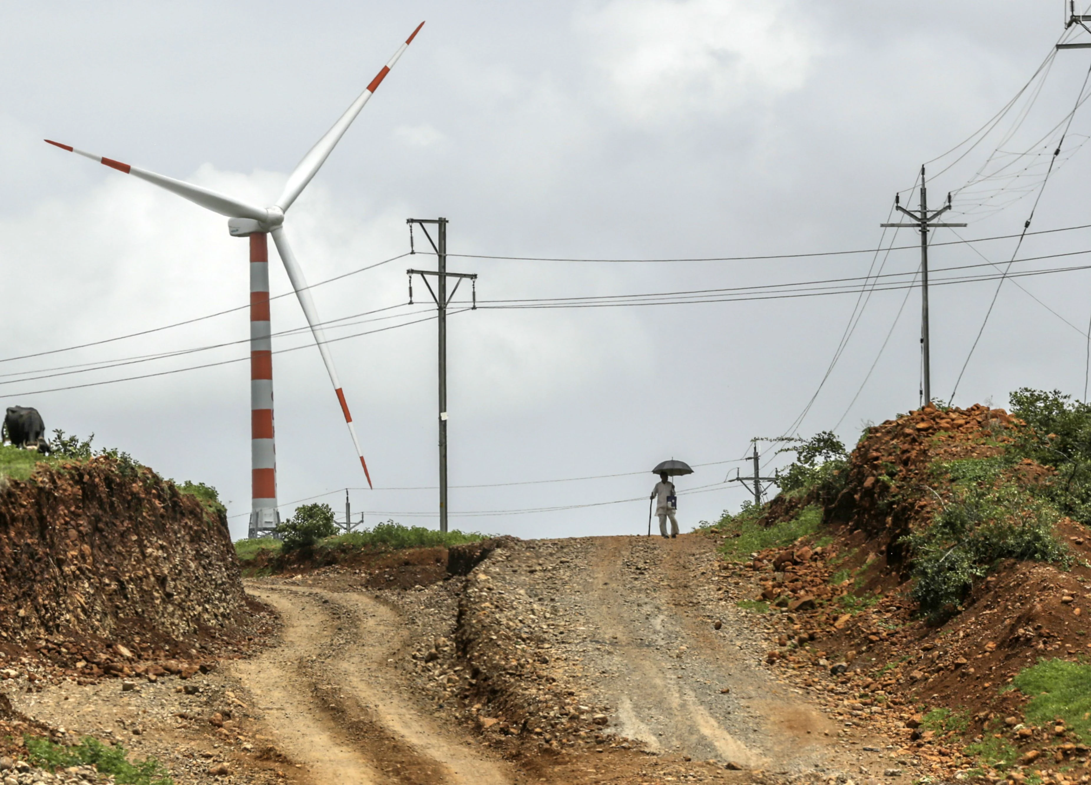 India Renewables Projects Set for Slowdown on Lockdown