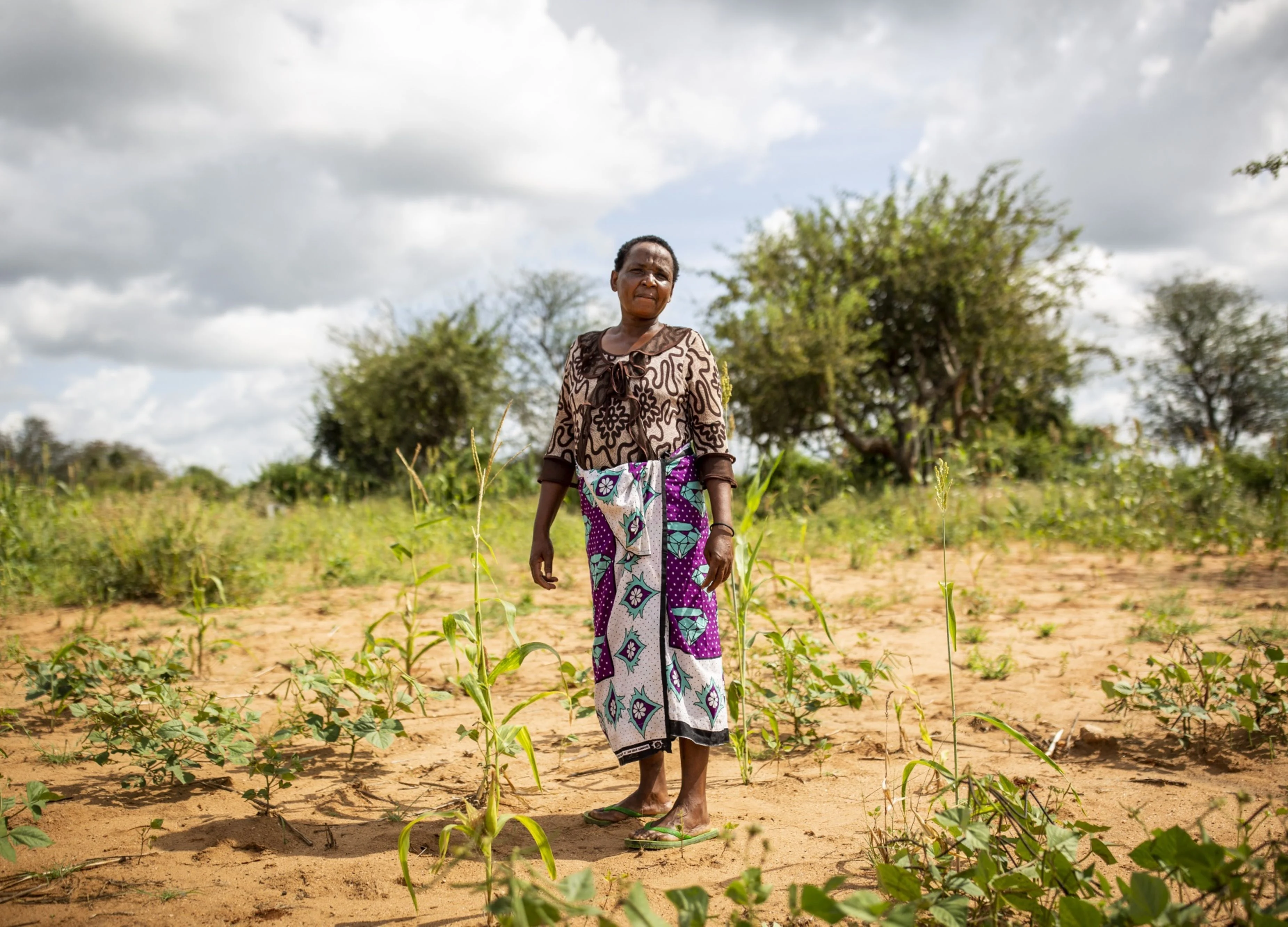 The UN’s State of the Climate Report Paints a Grim Picture